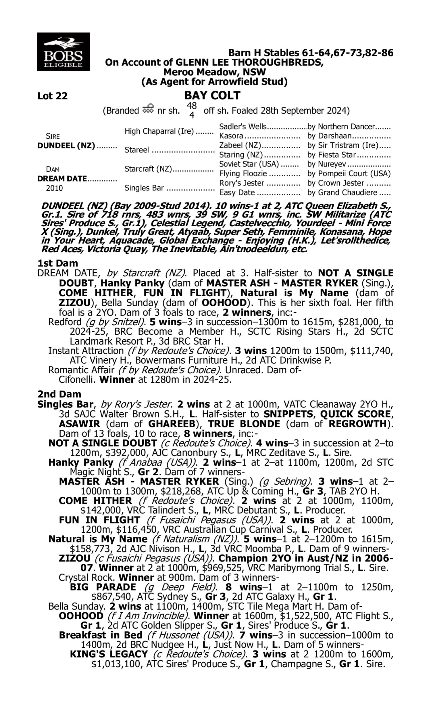 Pedigree for Lot 22 Dundeel (NZ) - Dream Date