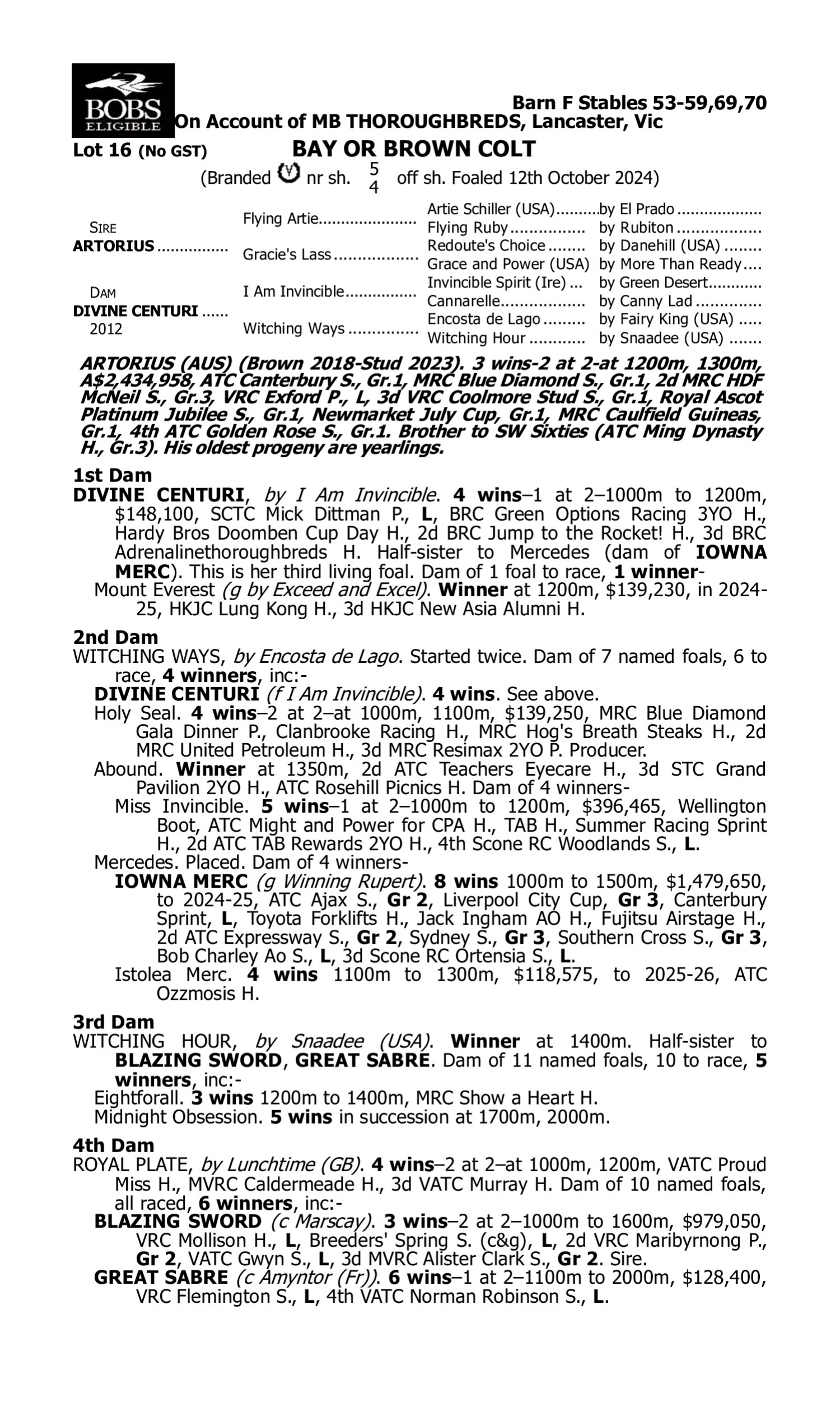 Pedigree for Lot 16 Artorius - Divine Centuri