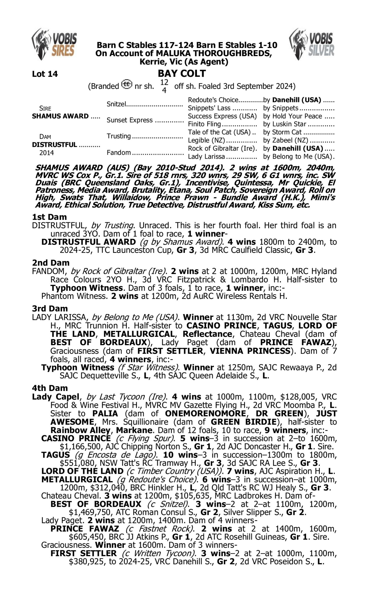 Pedigree for Lot 14 Shamus Award - Distrustful