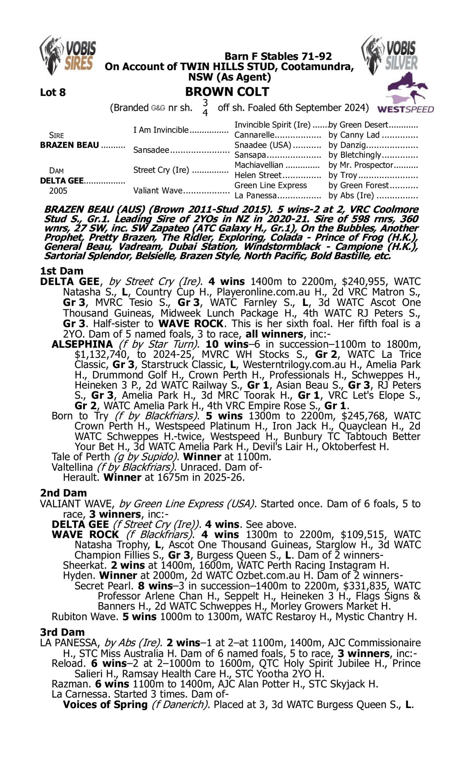 Pedigree for Lot 8 Brazen Beau - Delta Gee