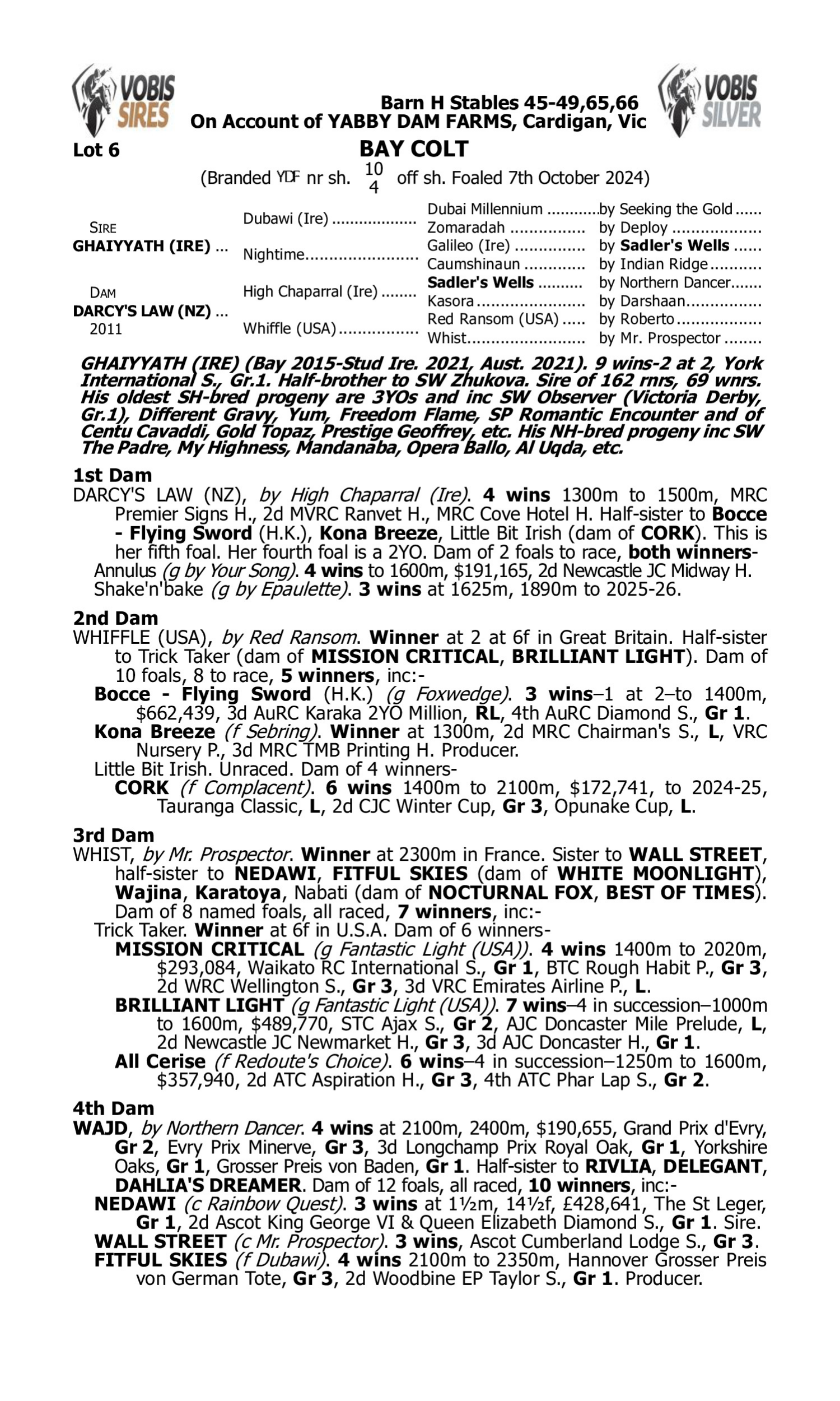 Pedigree for Lot 6 Ghaiyyath (IRE) - Darcy's Law (NZ)