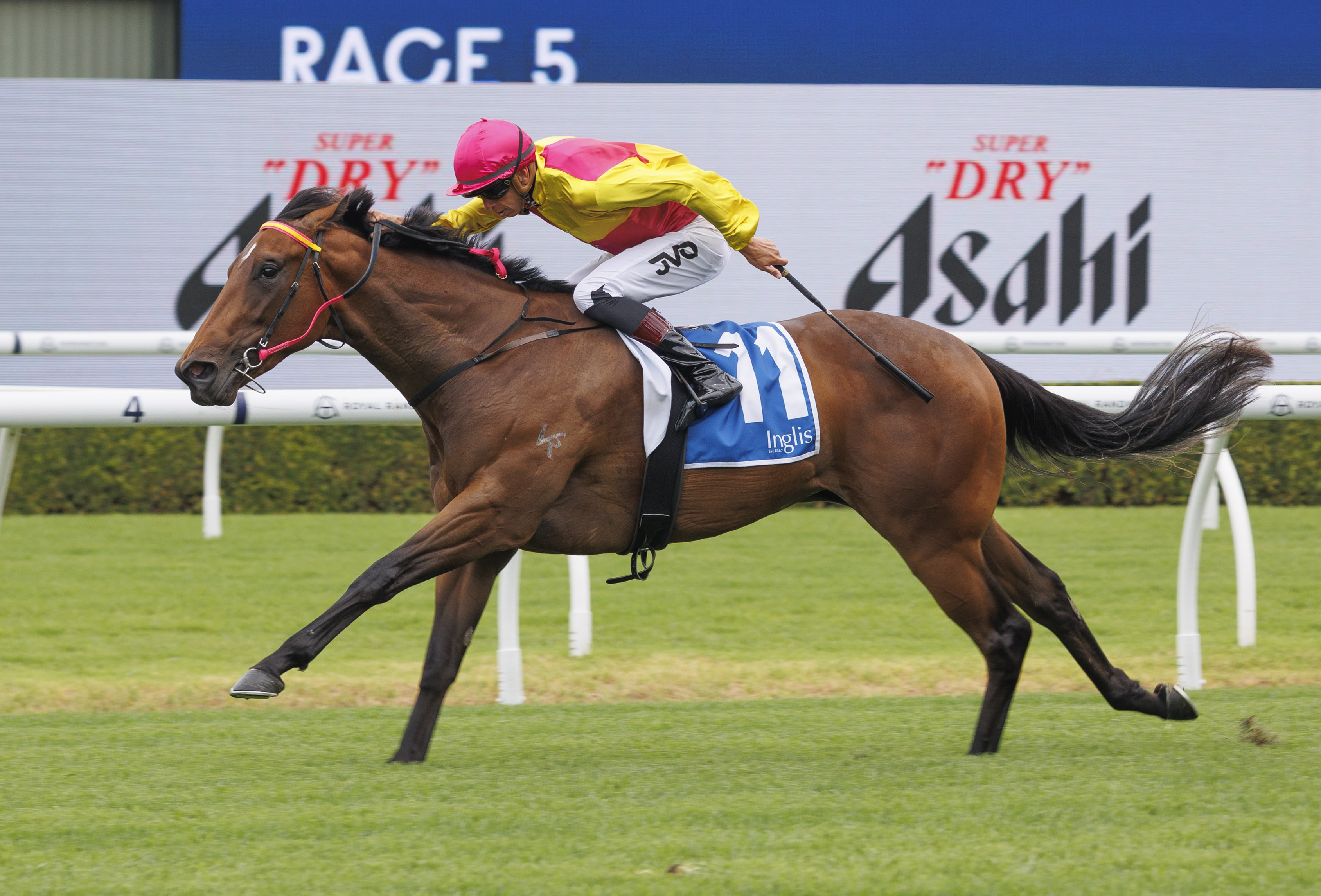 Inglis Digital bargain buy Where's The Circus wins $400k Nursery