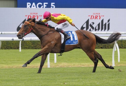 Inglis Digital bargain buy Where's The Circus wins $400k Nursery