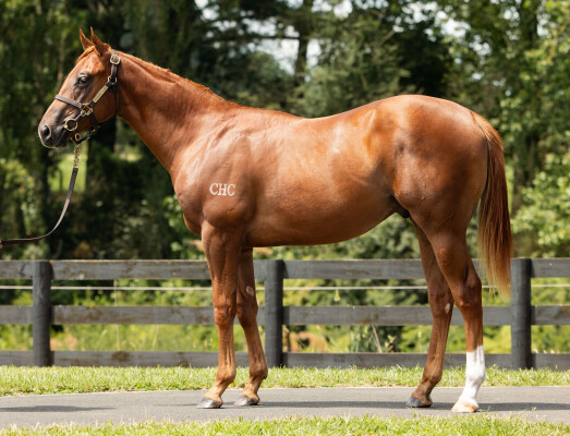 Lot 309: Stay Inside / Pirapala