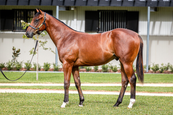 Lot 92: Ole Kirk / Jal Lei