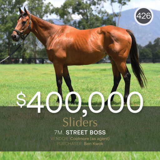Sliders tops January Online Sale as Anamoe breeding right confirmed for Feb (Early) auction
