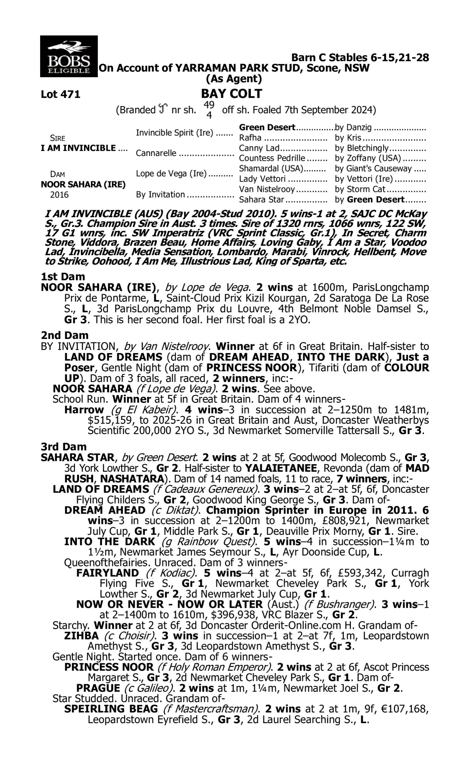 Pedigree for Lot 471 I Am Invincible - Noor Sahara (IRE)