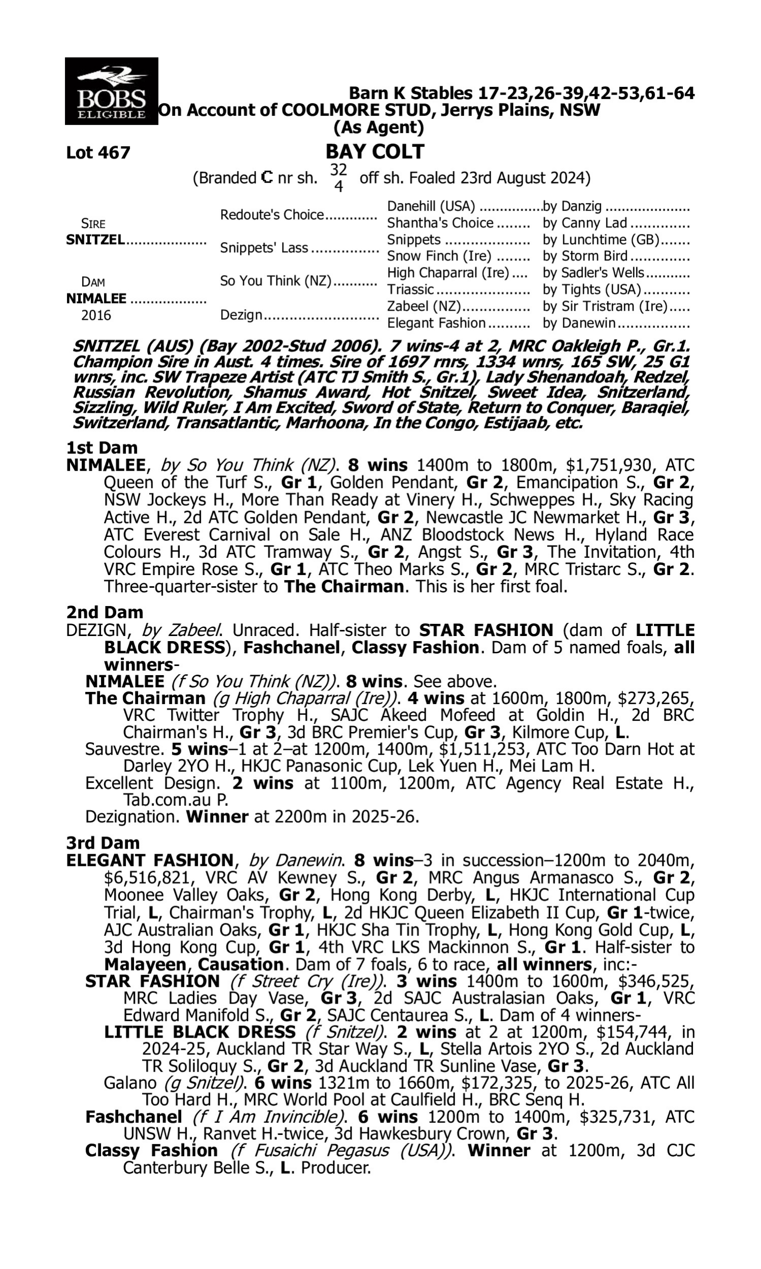 Pedigree for Lot 467 Snitzel - Nimalee