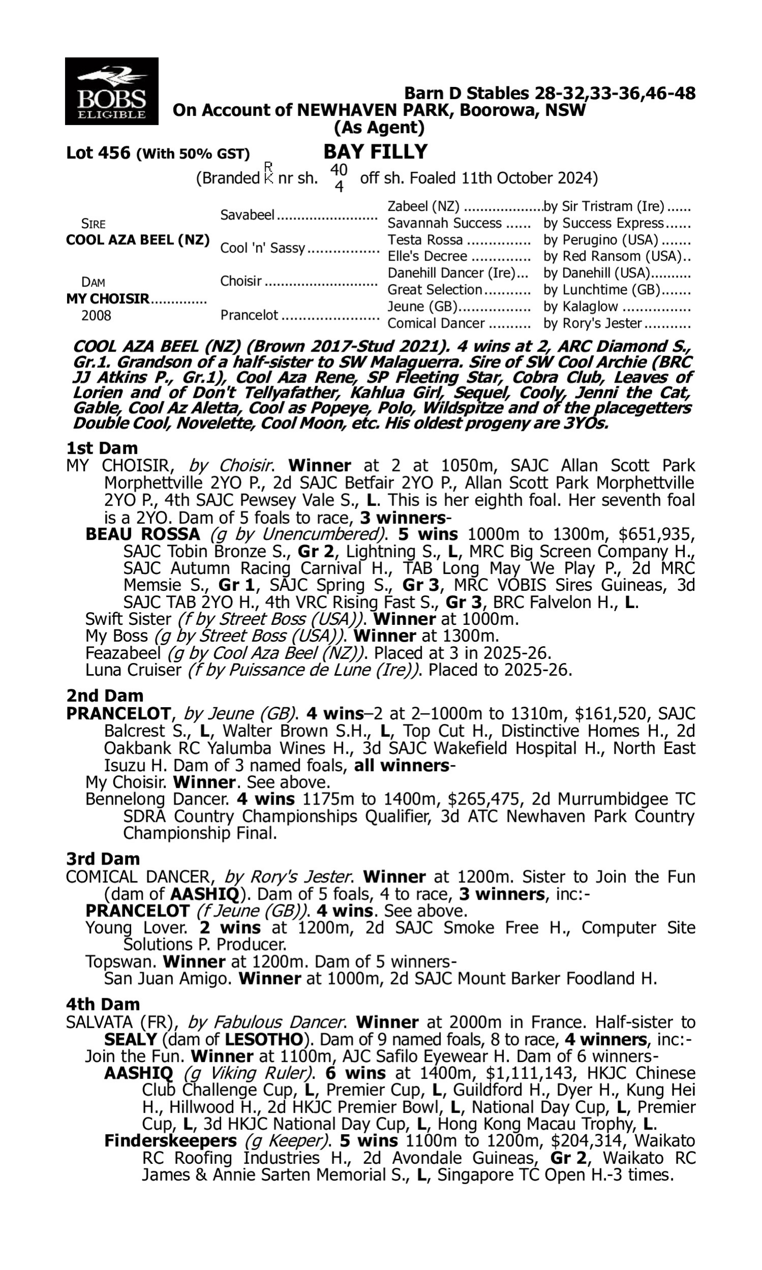 Pedigree for Lot 456 Cool Aza Beel (NZ) - My Choisir