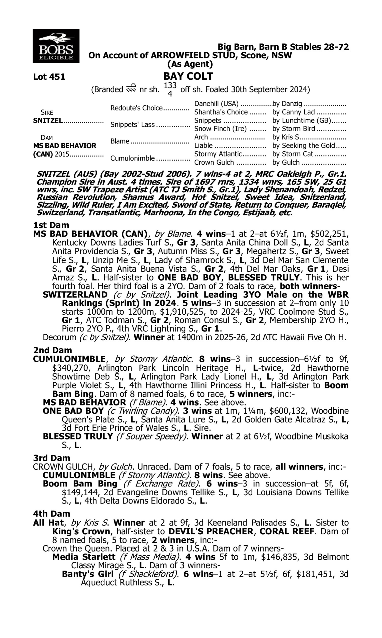 Pedigree for Lot 451 Snitzel - Ms Bad Behavior (CAN)