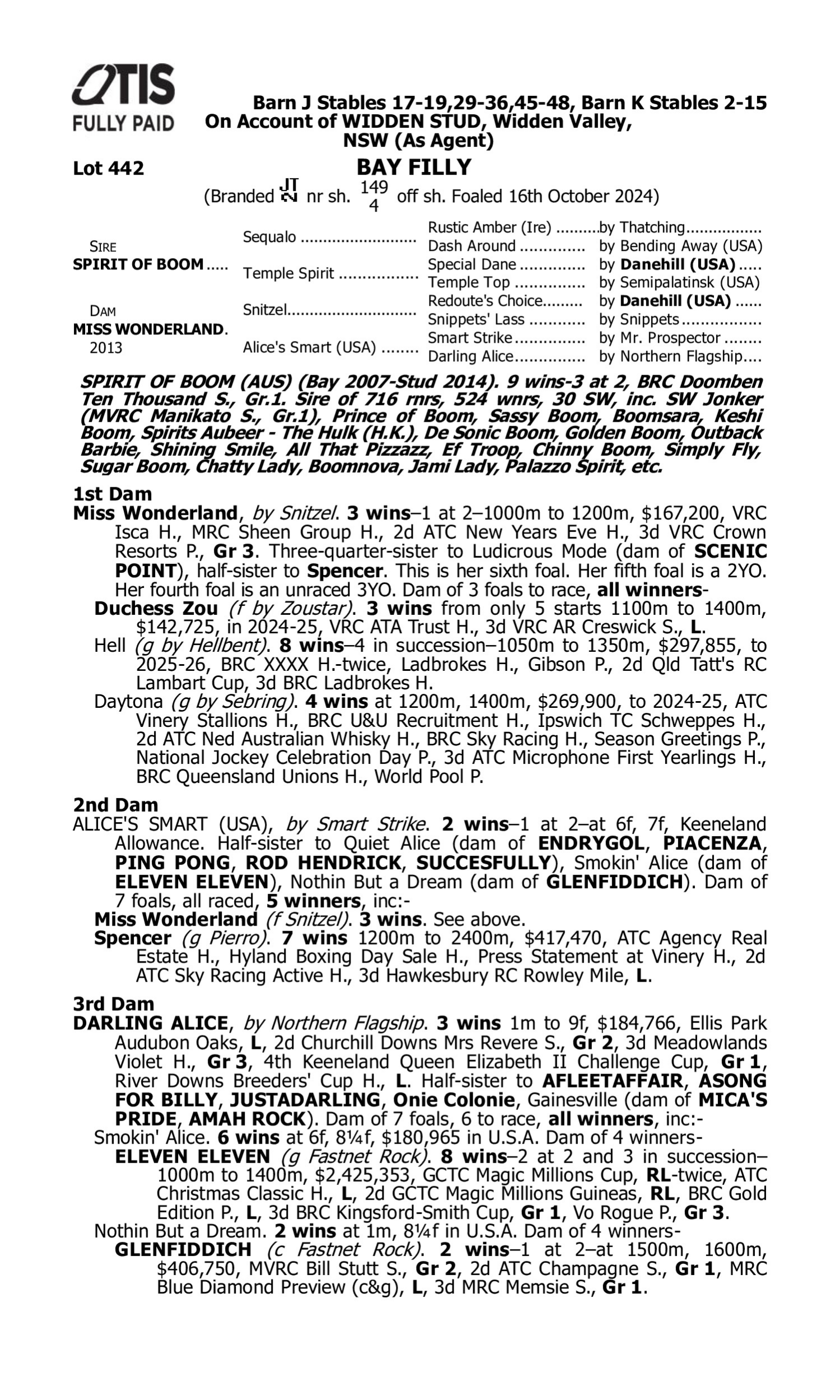 Pedigree for Lot 442 Spirit of Boom - Miss Wonderland