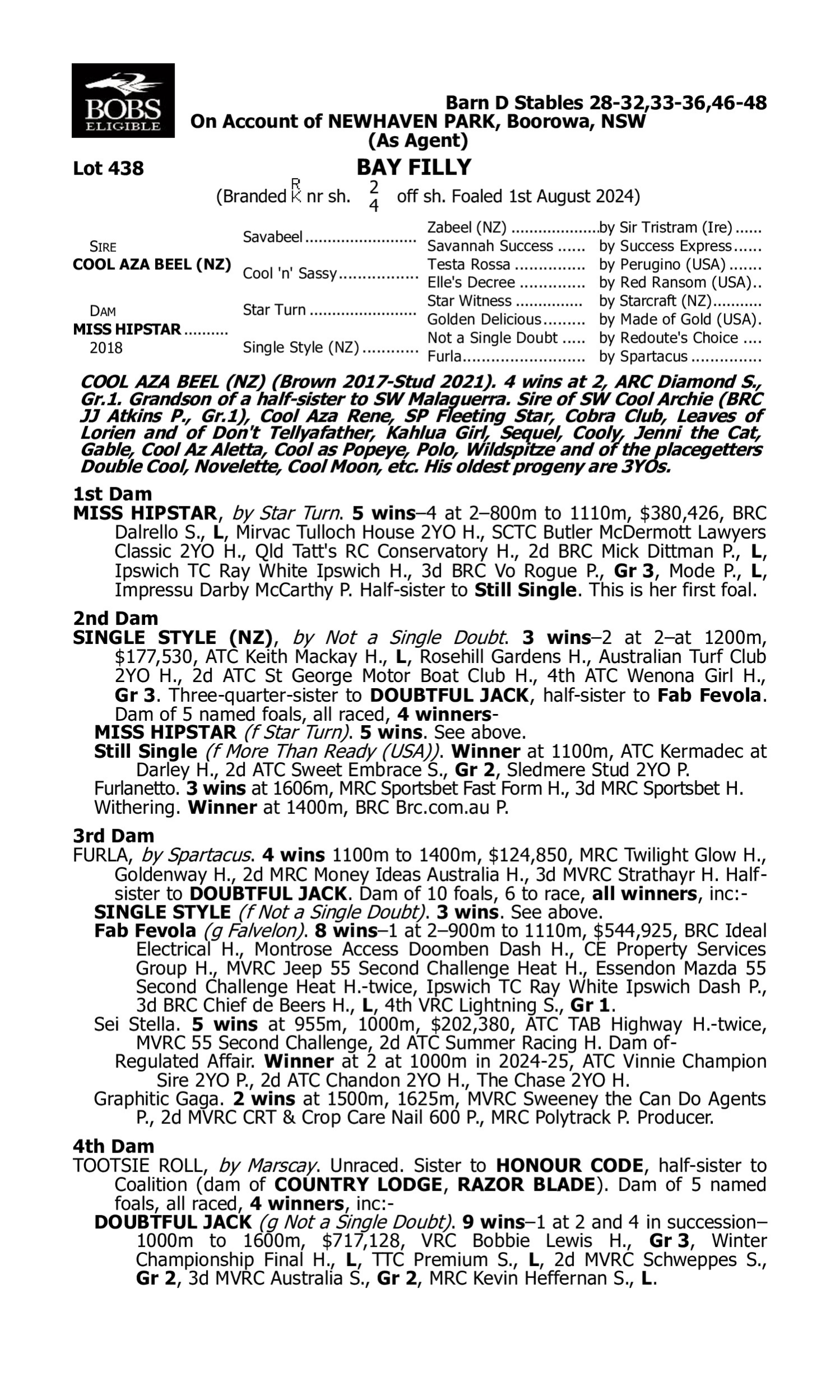 Pedigree for Lot 438 Cool Aza Beel (NZ) - Miss Hipstar