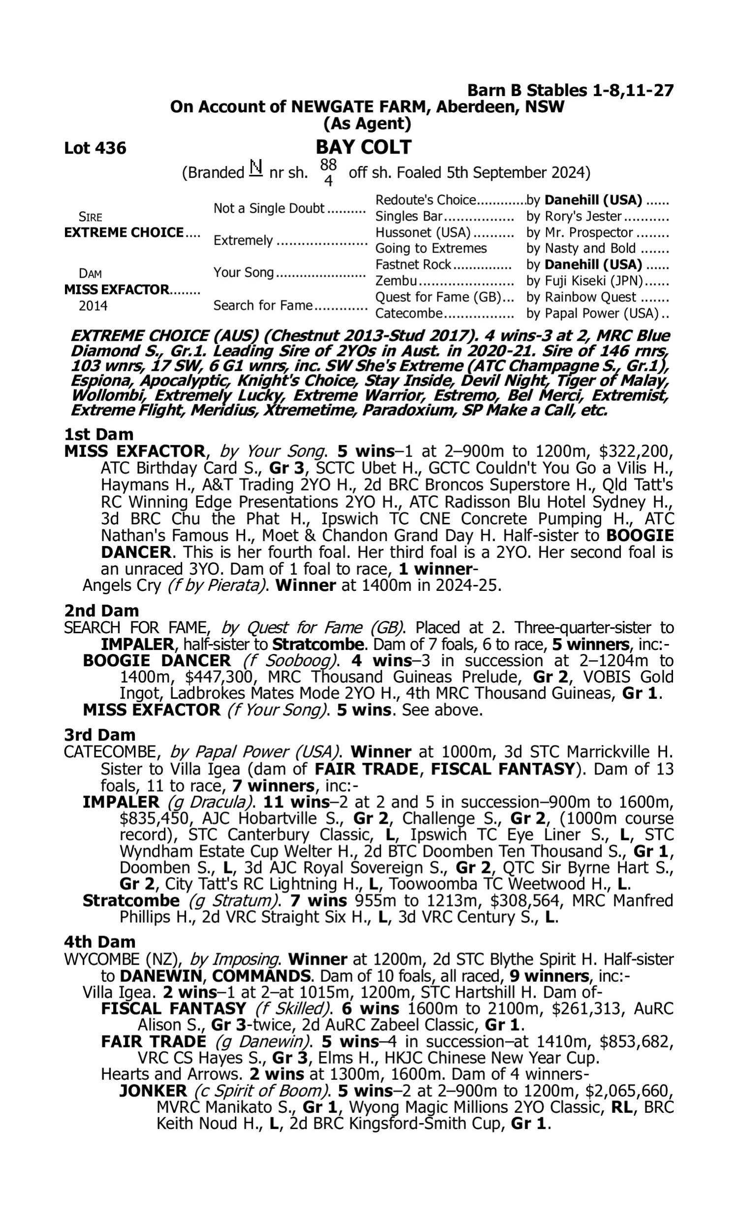 Pedigree for Lot 436 Extreme Choice - Miss Exfactor