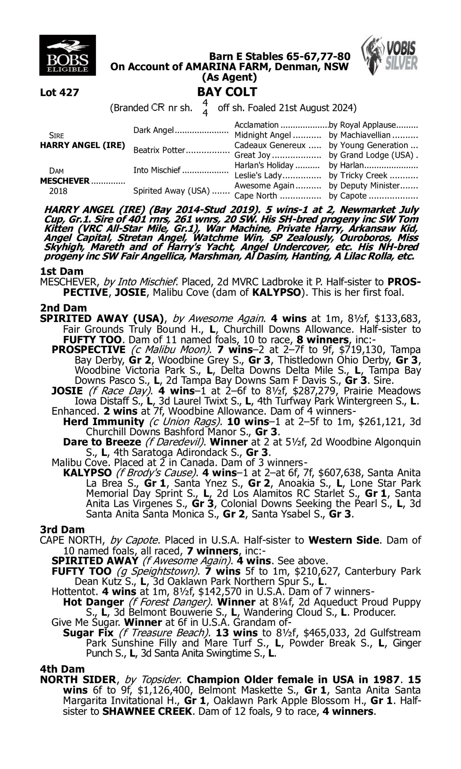 Pedigree for Lot 427 Harry Angel (IRE) - Meschever