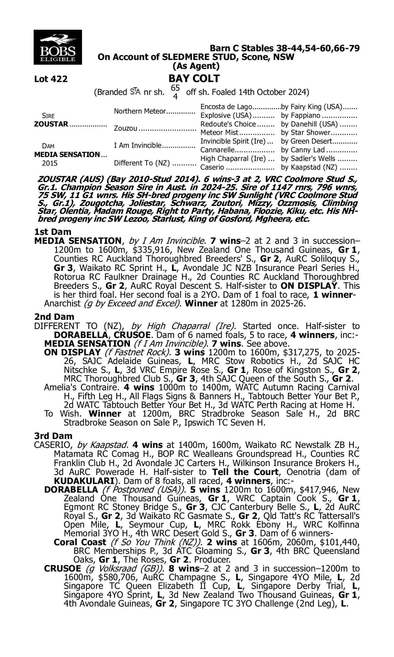 Pedigree for Lot 422 Zoustar - Media Sensation