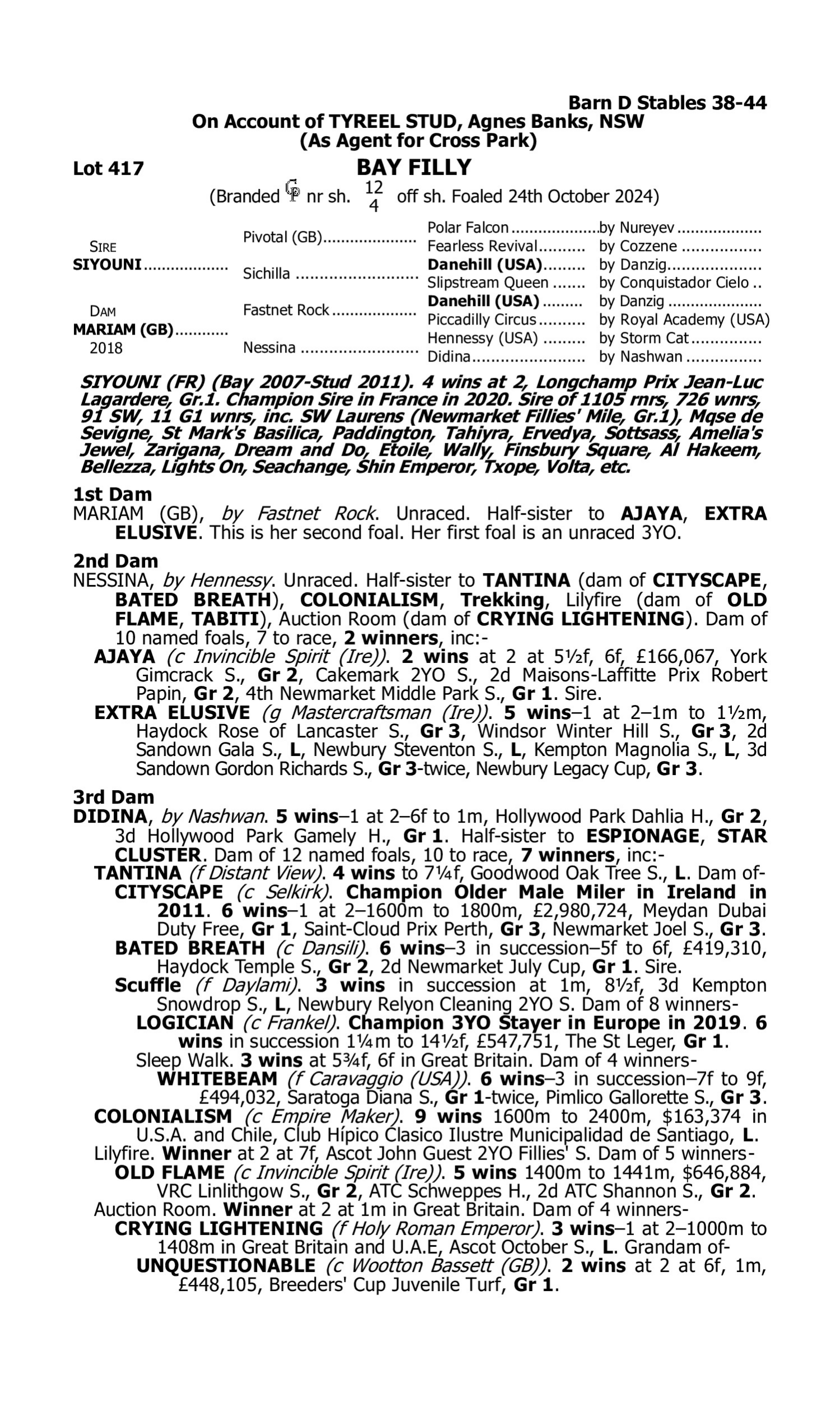 Pedigree for Lot 417 Siyouni (FR) - Mariam (GB)