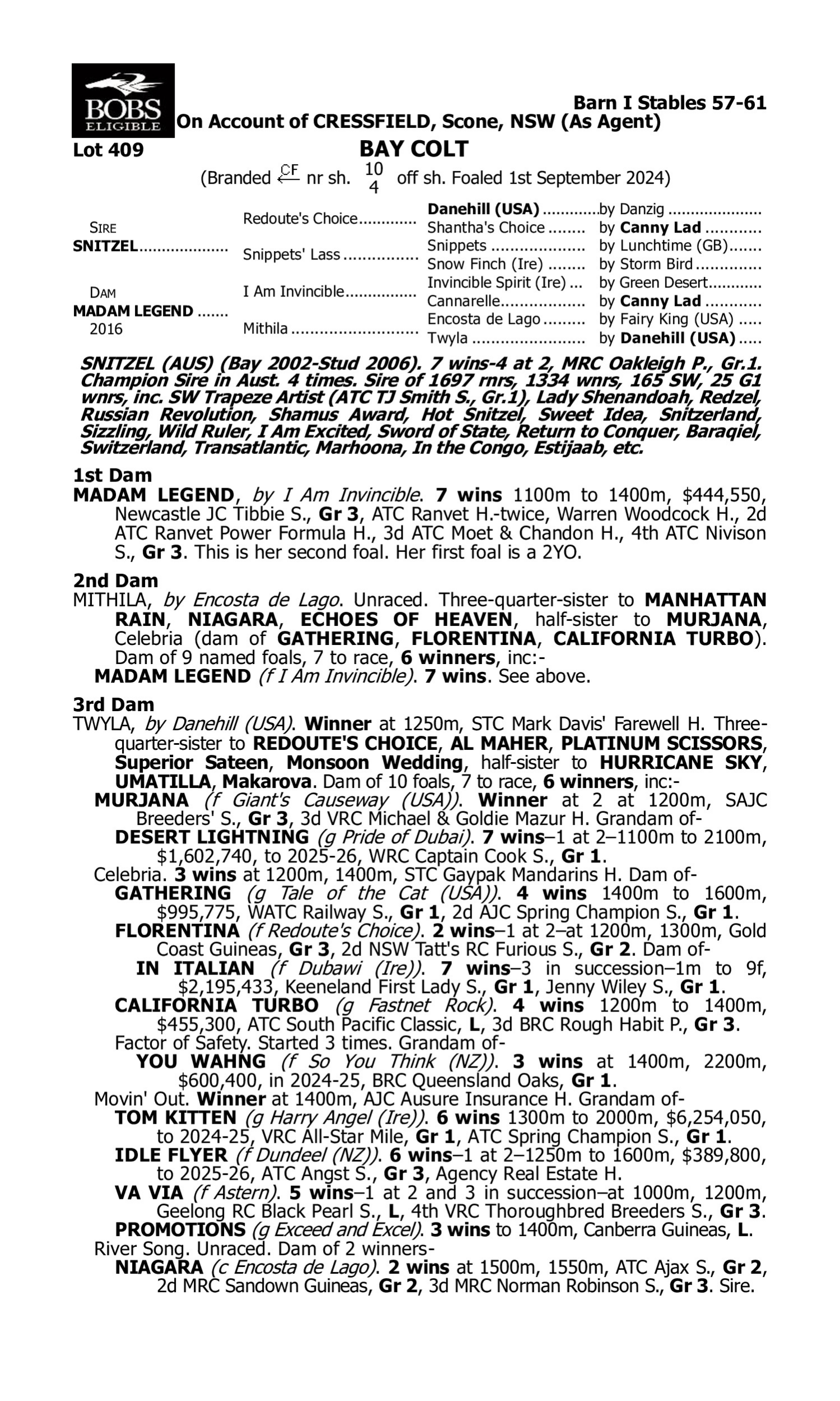 Pedigree for Lot 409 Snitzel - Madam Legend