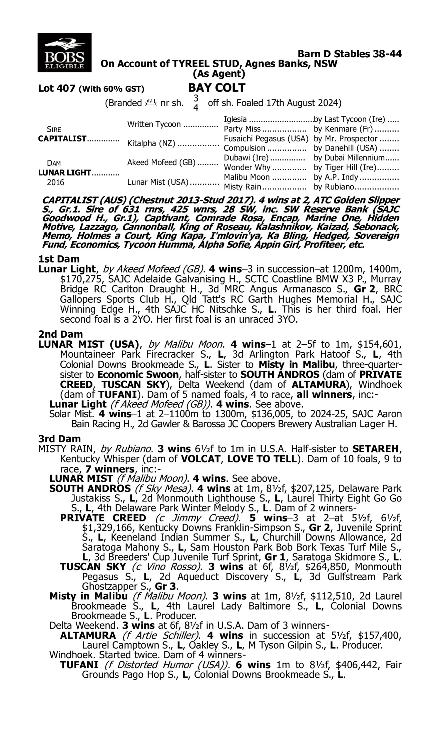 Pedigree for Lot 407 Capitalist - Lunar Light