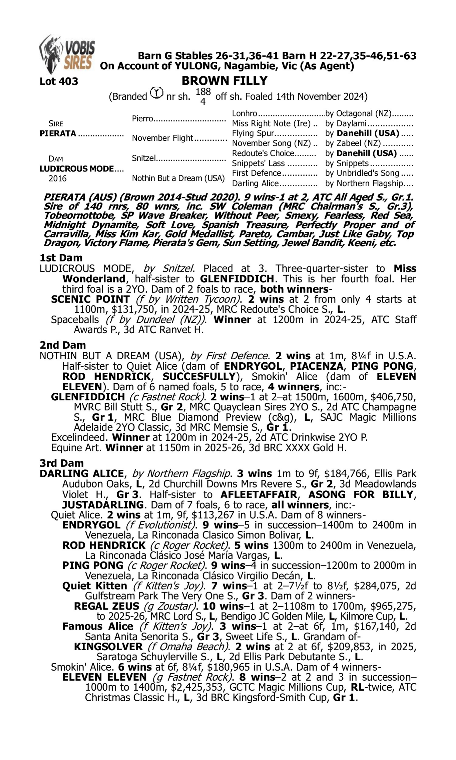 Pedigree for Lot 403 Pierata - Ludicrous Mode