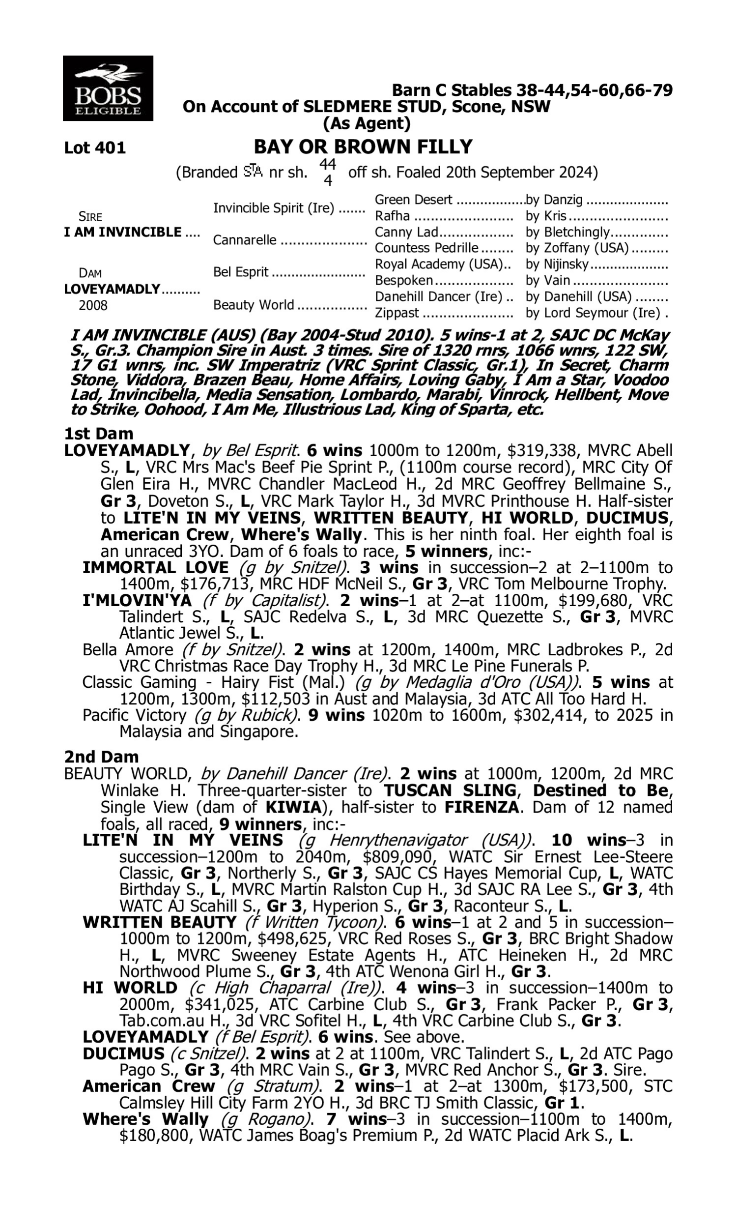 Pedigree for Lot 401 I Am Invincible - Loveyamadly