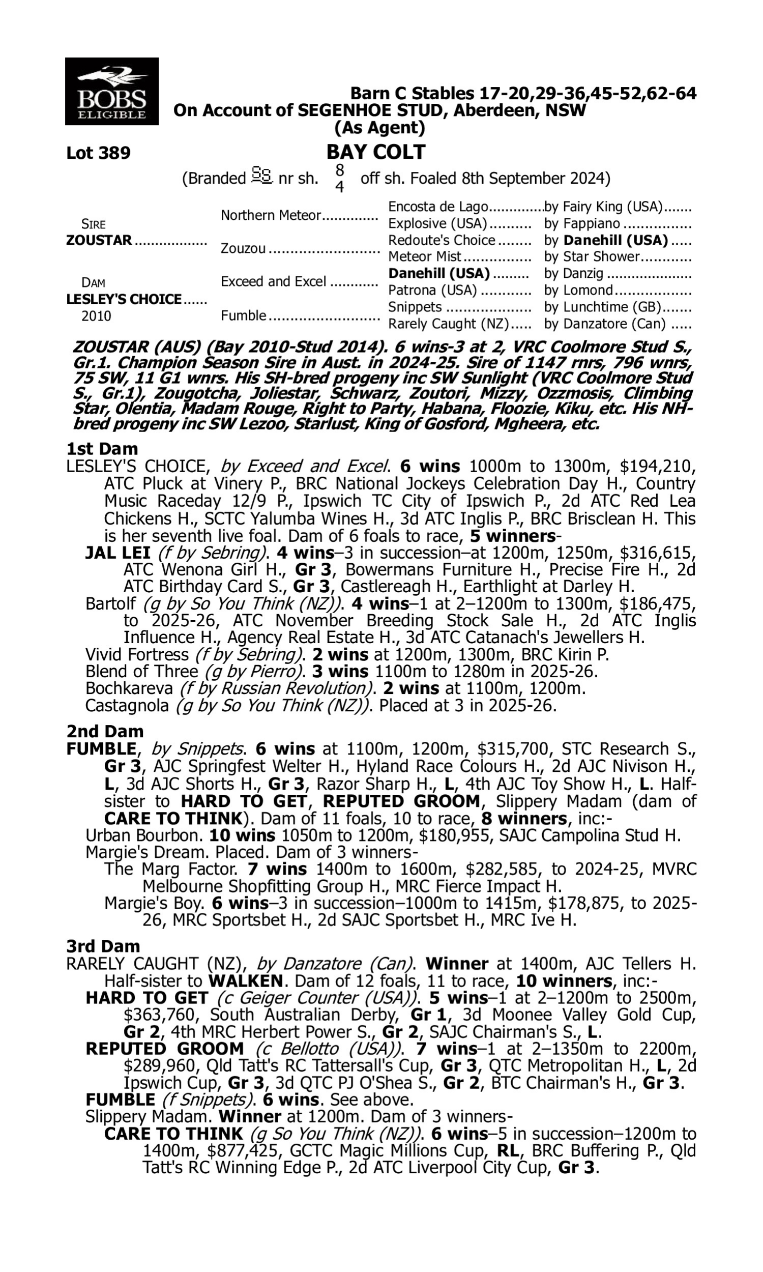 Pedigree for Lot 389 Zoustar - Lesley's Choice