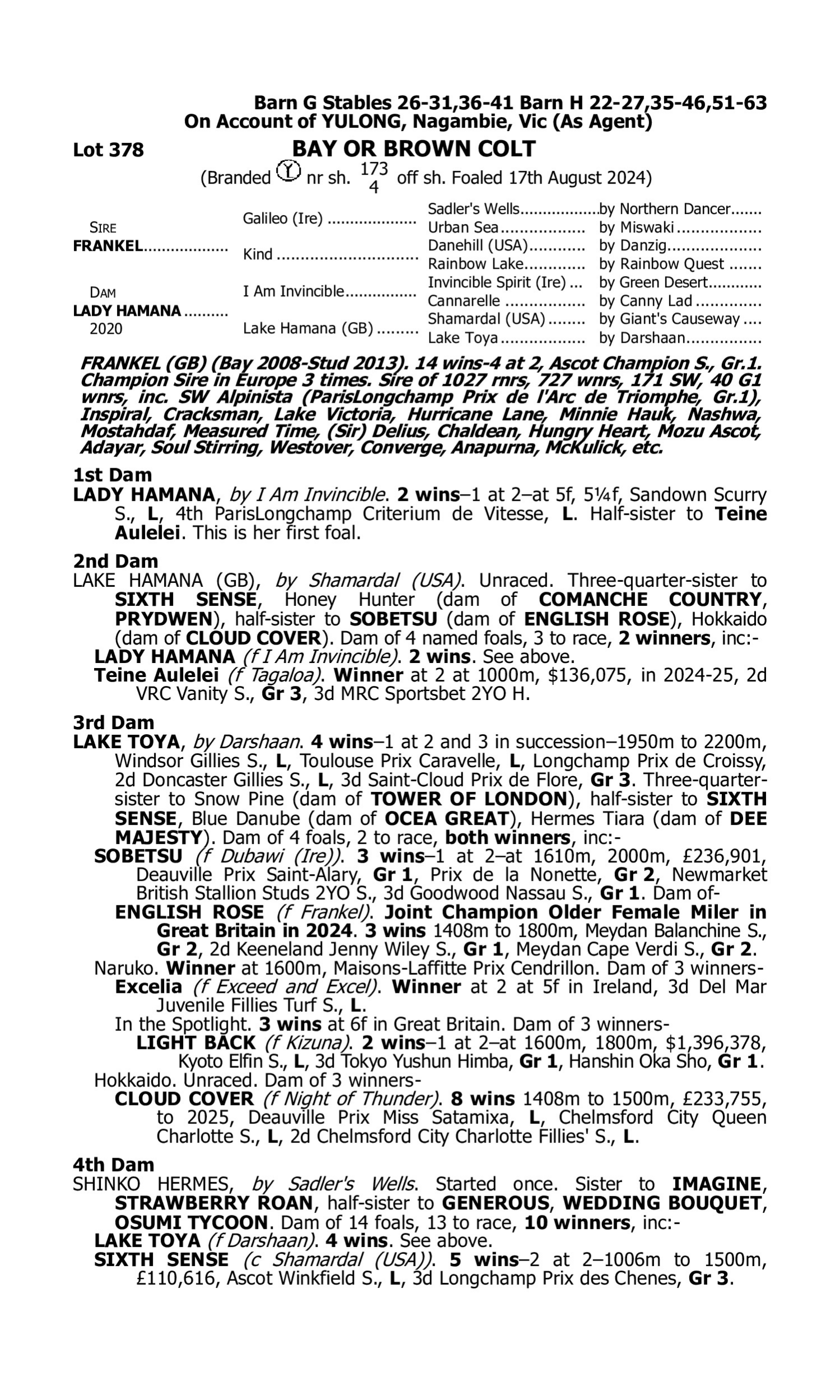 Pedigree for Lot 378 Frankel (GB) - Lady Hamana