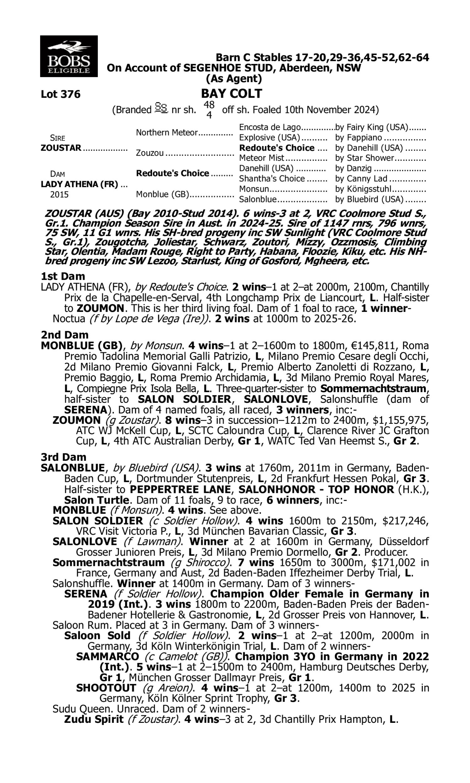 Pedigree for Lot 376 Zoustar - Lady Athena (FR)