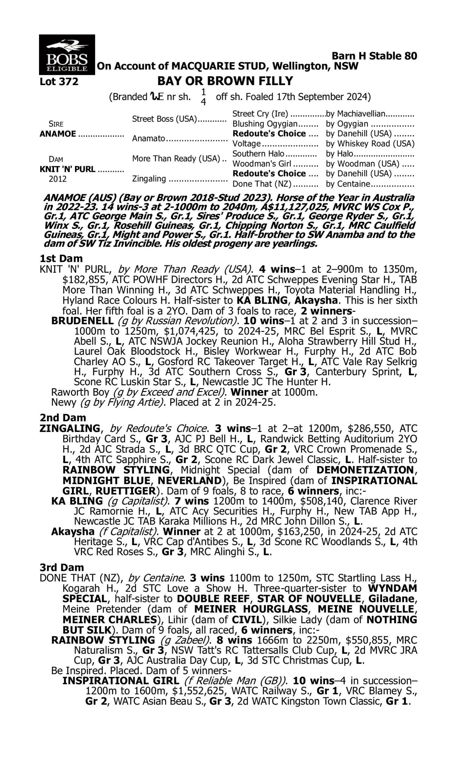 Pedigree for Lot 372 Anamoe - Knit 'n' Purl