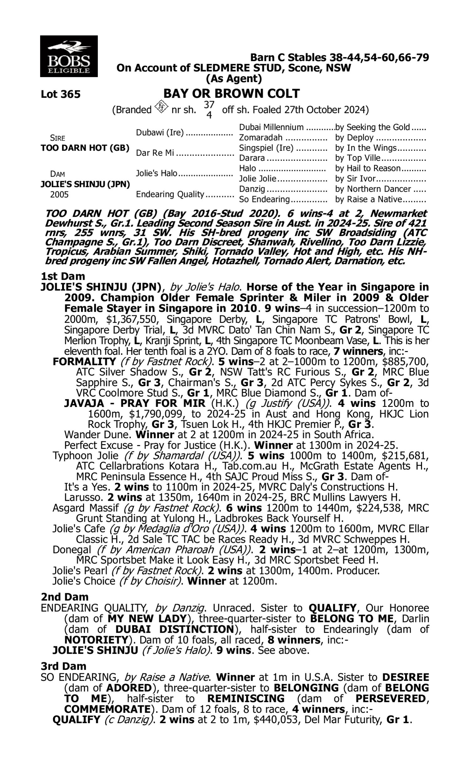 Pedigree for Lot 365 Too Darn Hot (GB) - Jolie's Shinju (JPN)