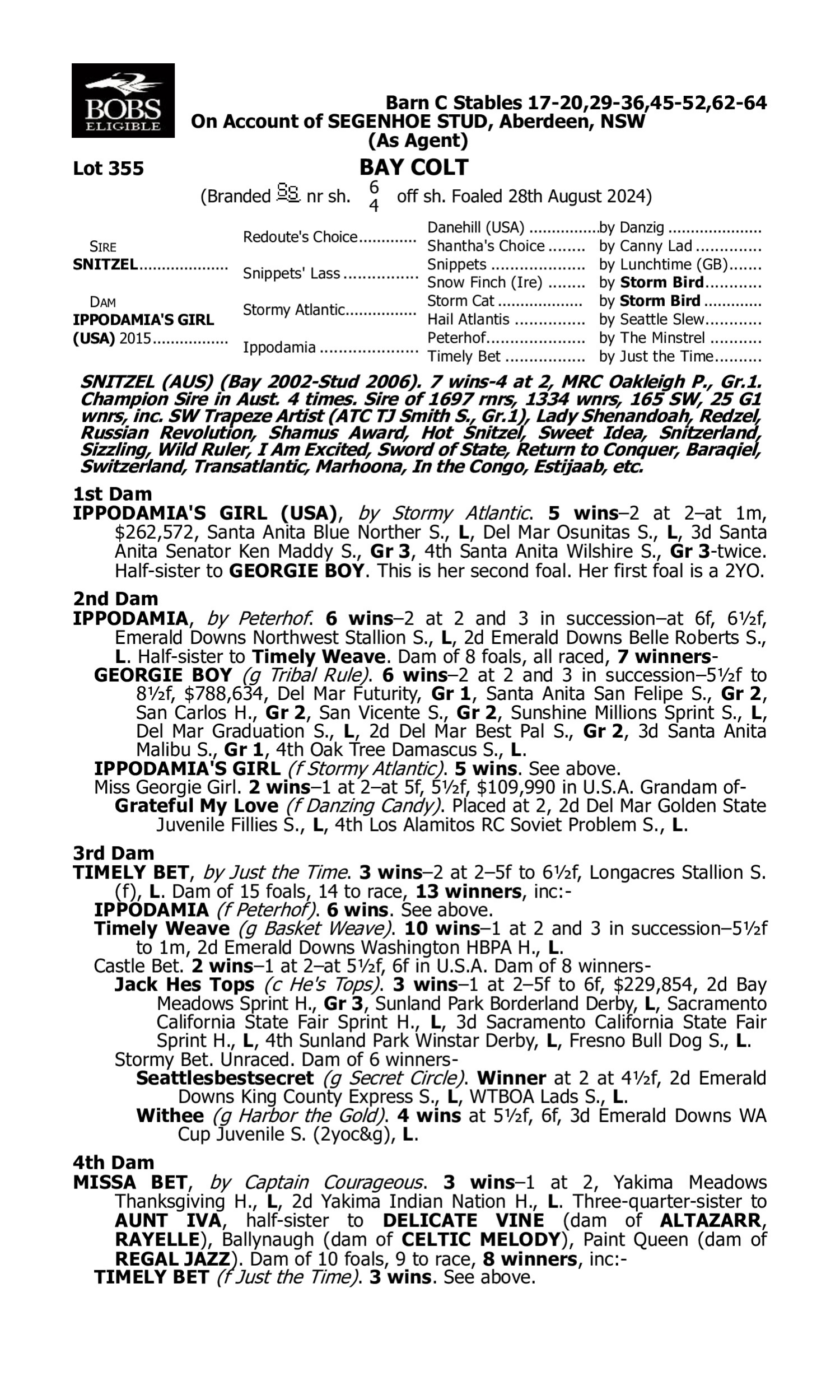 Pedigree for Lot 355 Snitzel - Ippodamia's Girl (USA)
