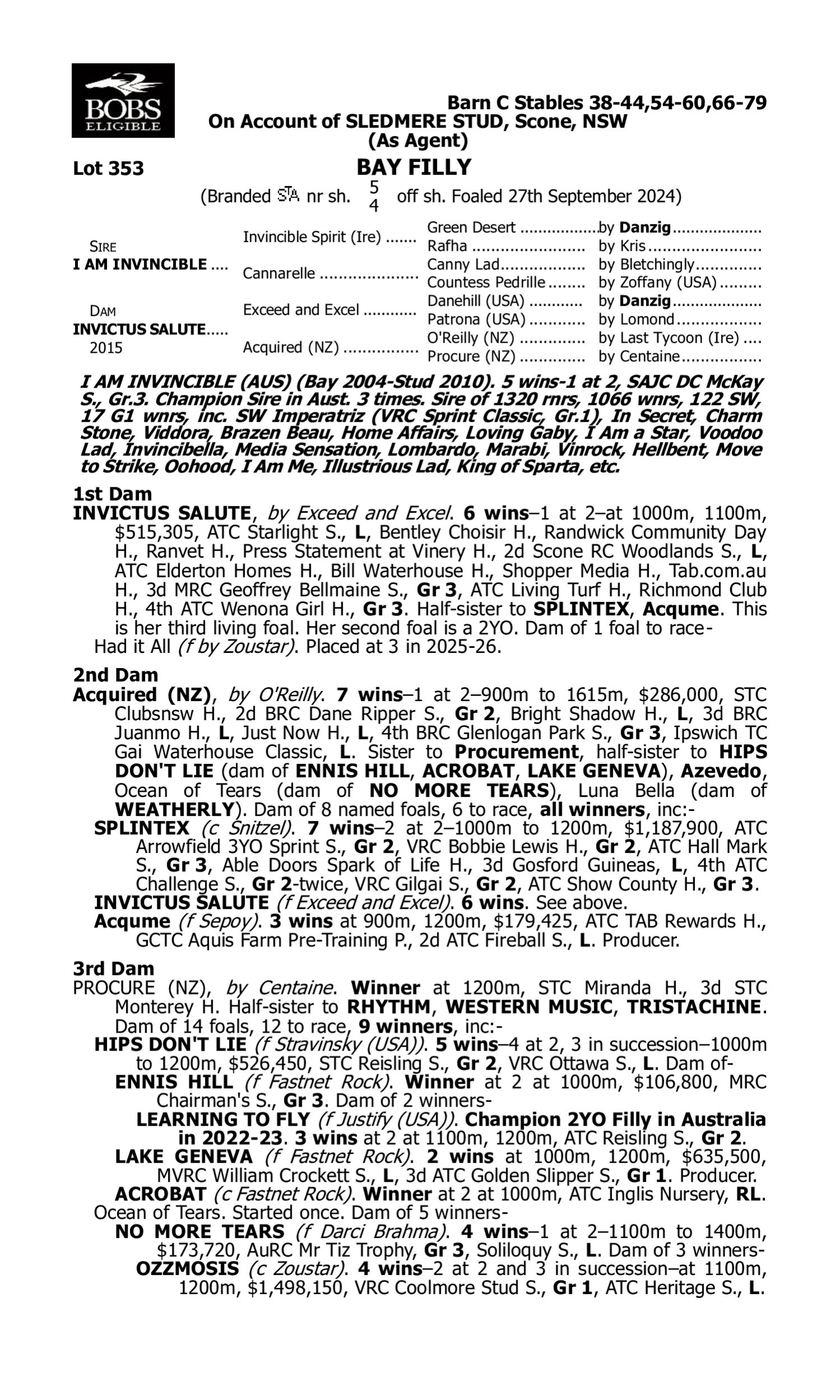 Pedigree for Lot 353 I Am Invincible - Invictus Salute