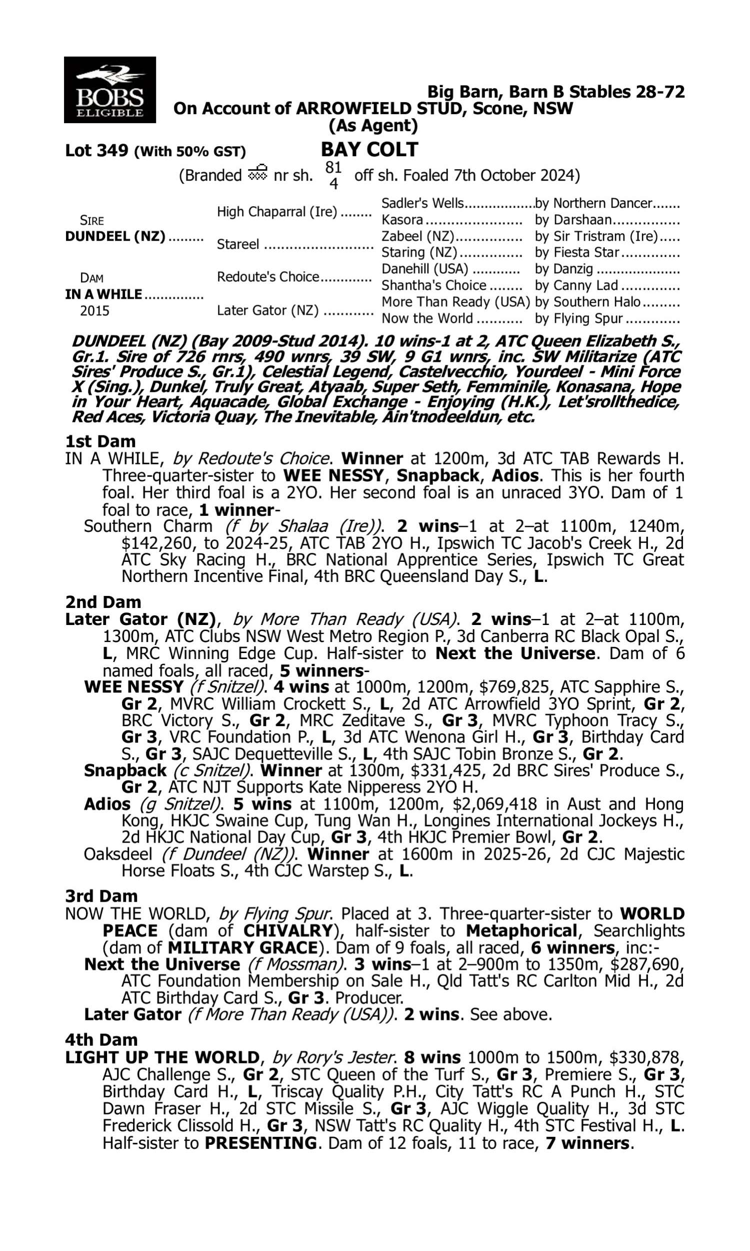 Pedigree for Lot 349 Dundeel (NZ) - In a While