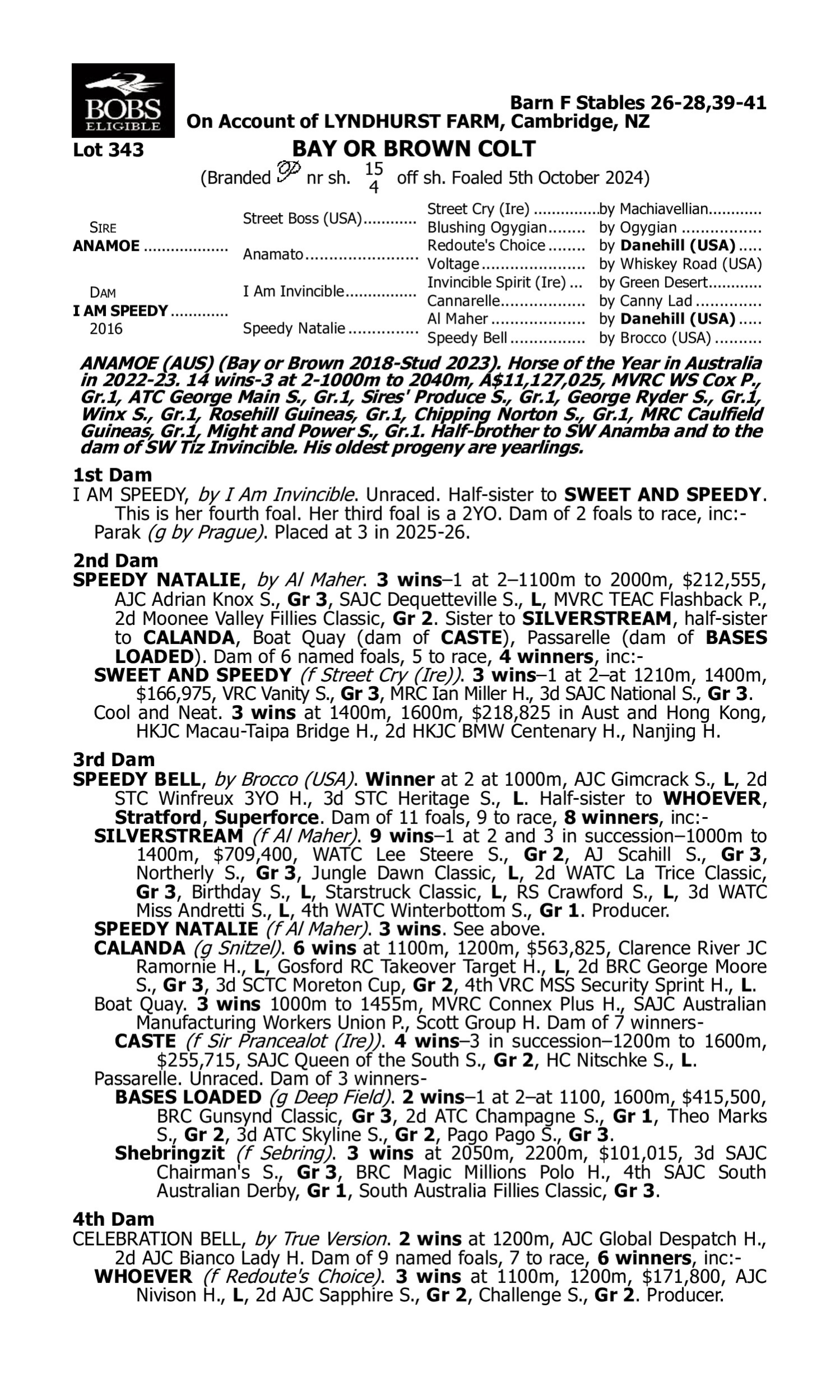 Pedigree for Lot 343 Anamoe - I Am Speedy