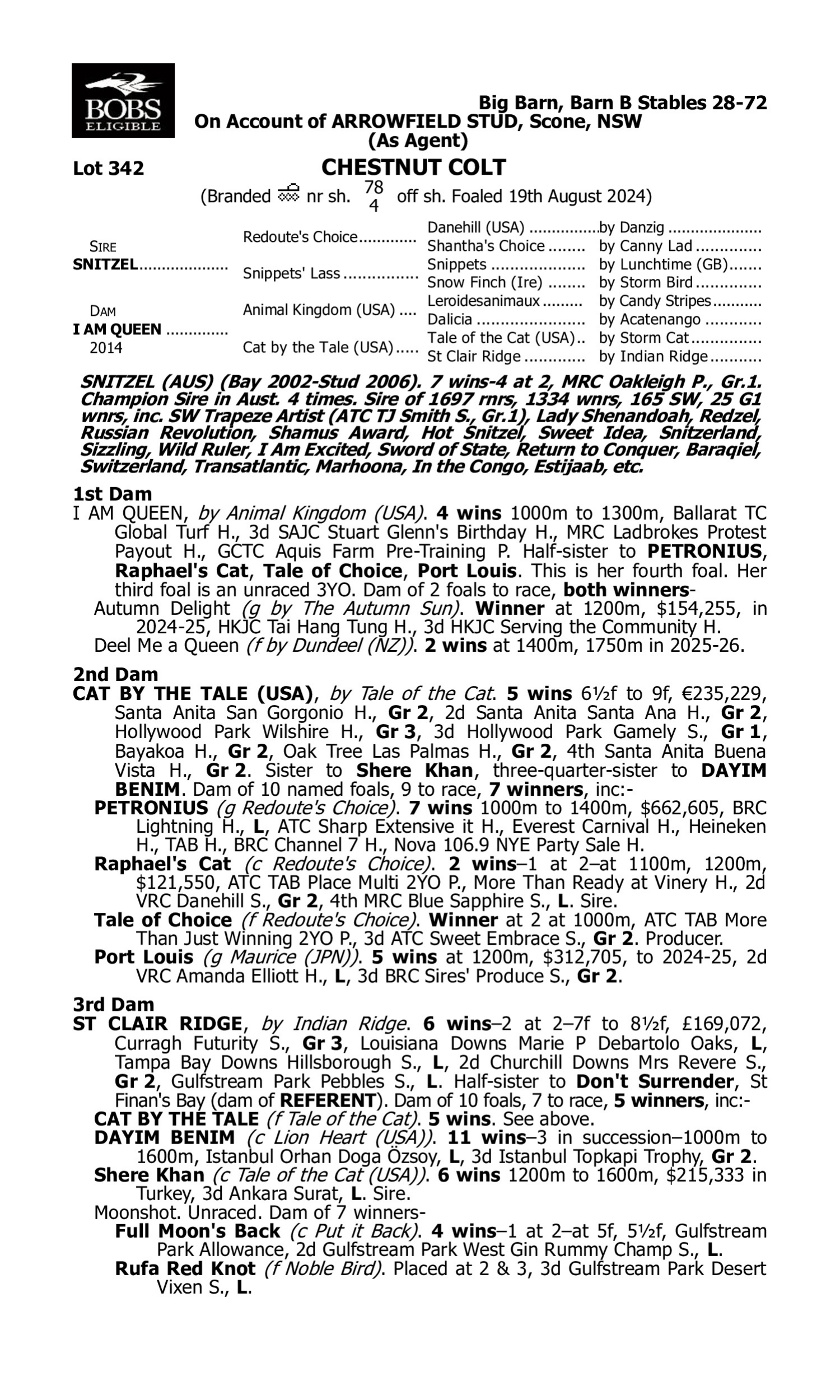 Pedigree for Lot 342 Snitzel - I am Queen