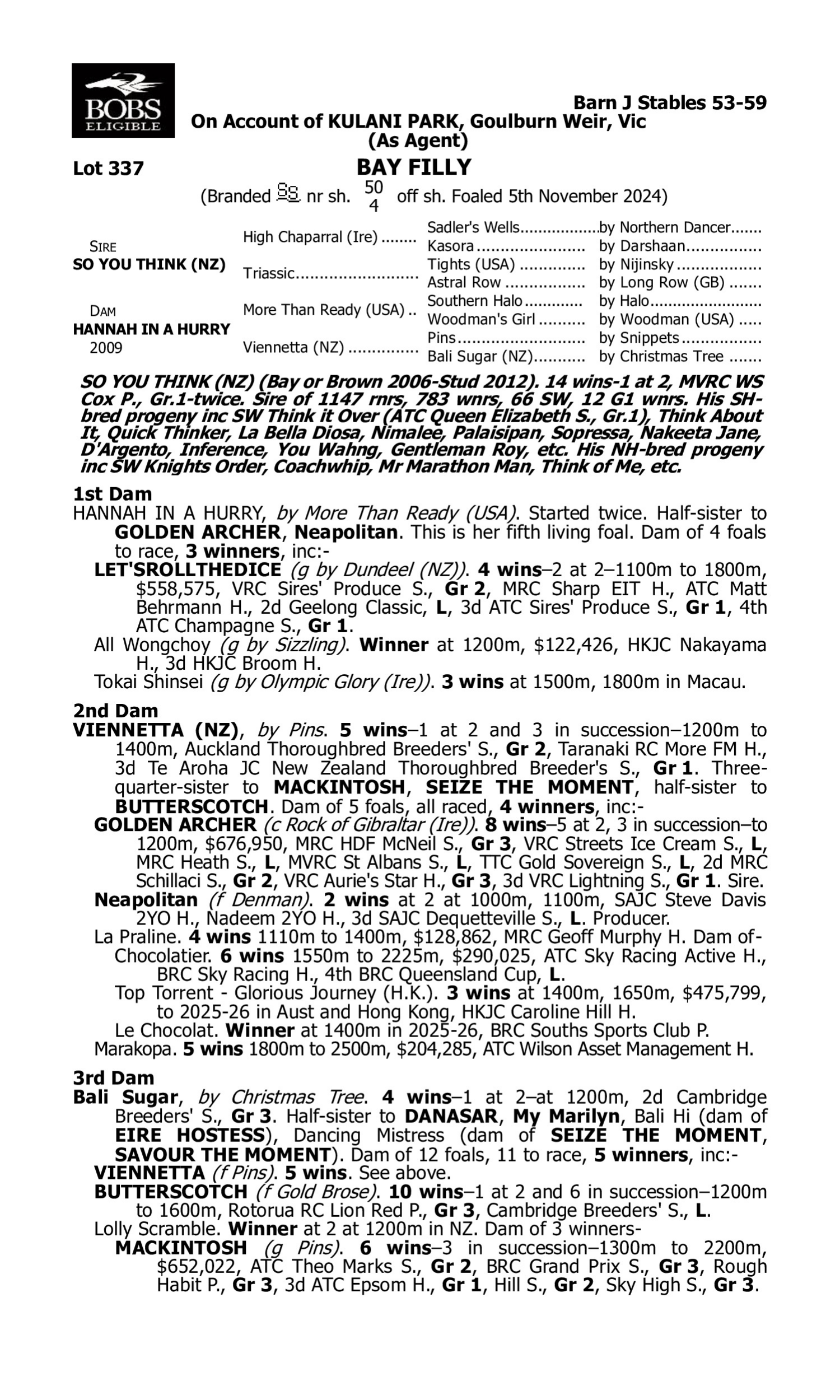 Pedigree for Lot 337 So You Think (NZ) - Hannah in a Hurry