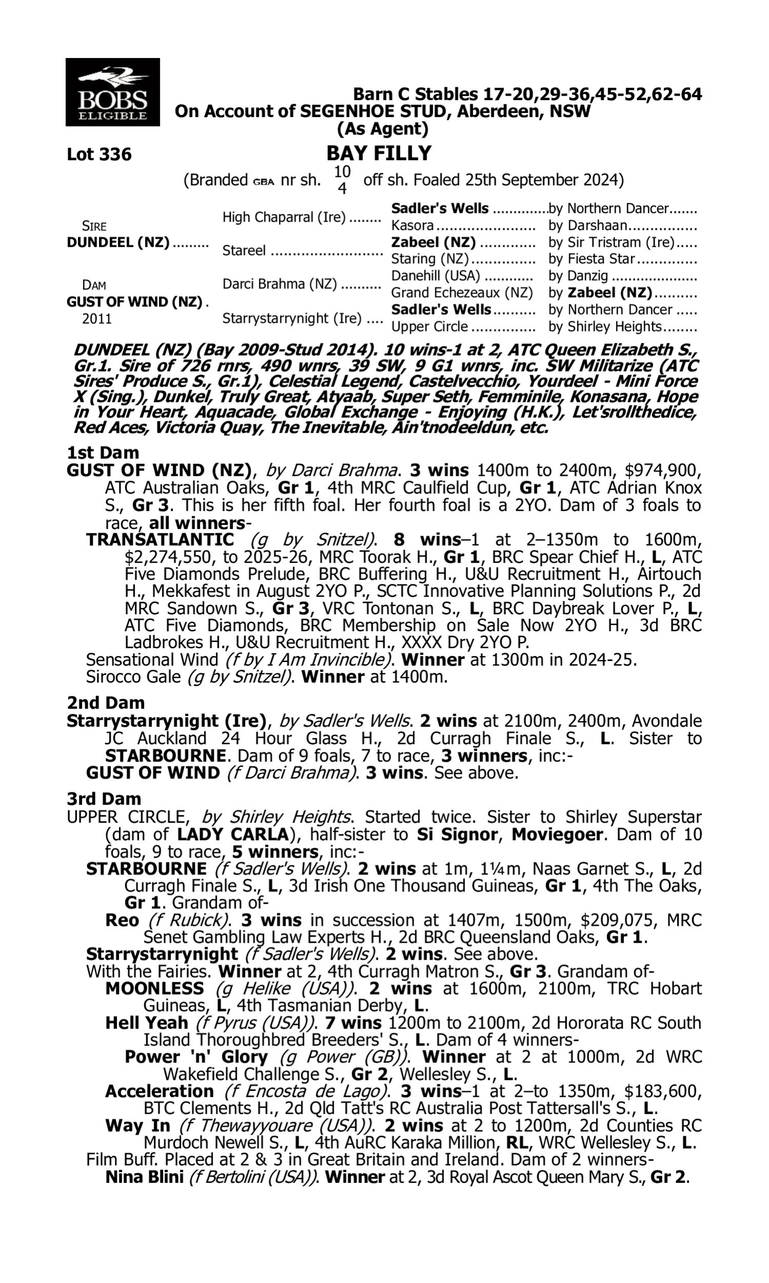 Pedigree for Lot 336 Dundeel (NZ) - Gust of Wind (NZ)