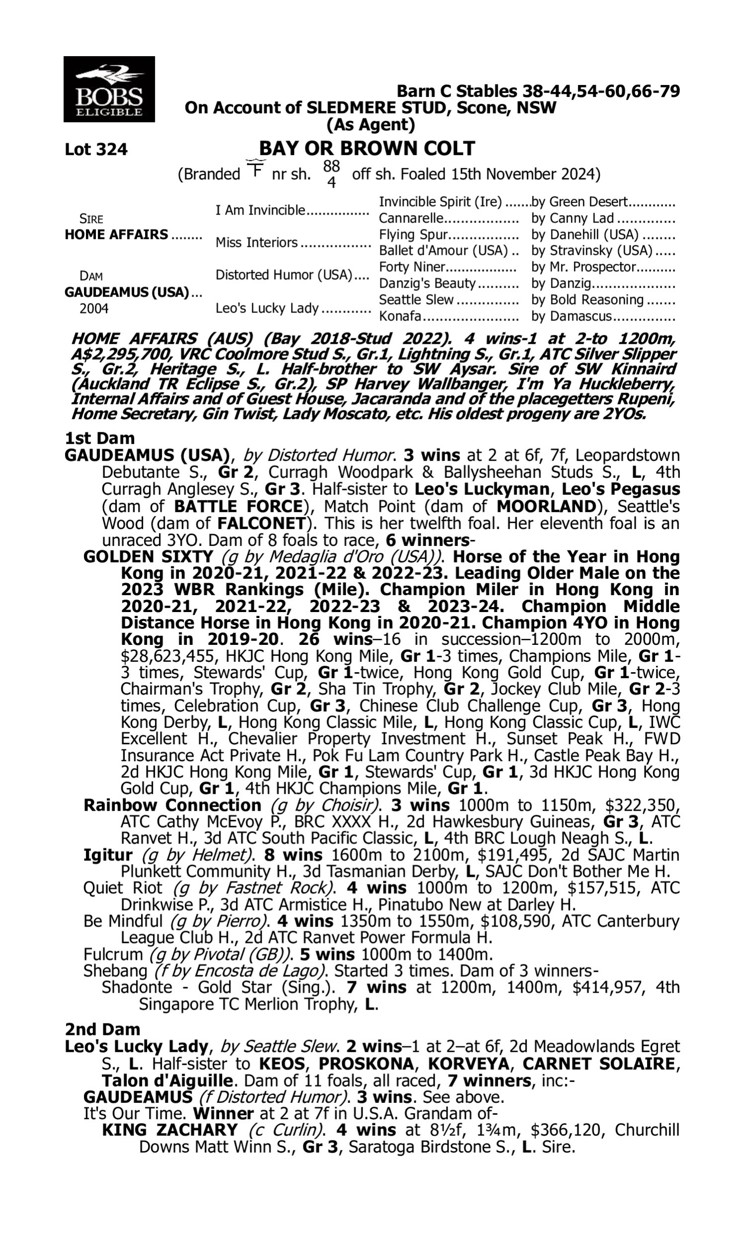 Pedigree for Lot 324 Home Affairs - Gaudeamus (USA)