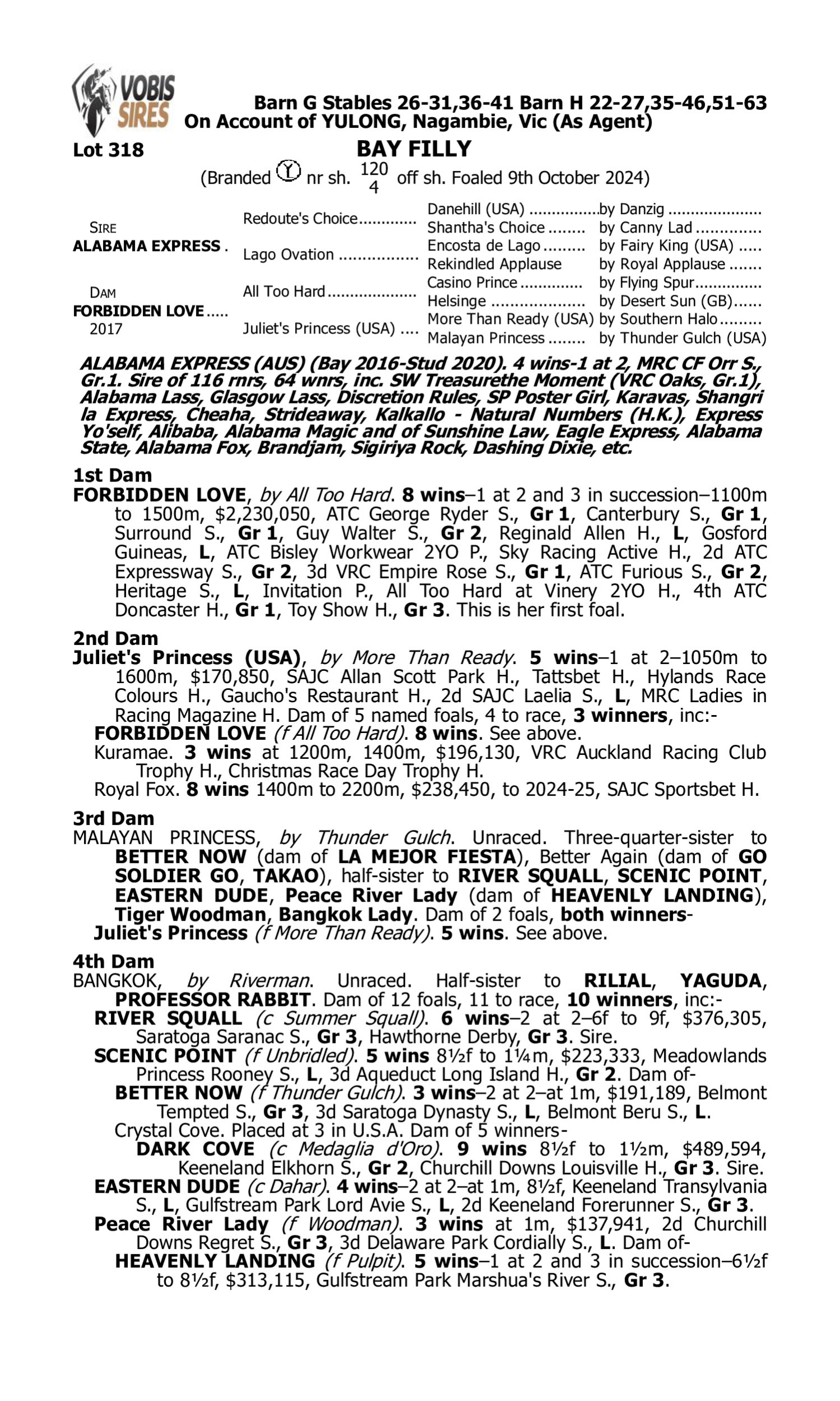 Pedigree for Lot 318 Alabama Express - Forbidden Love