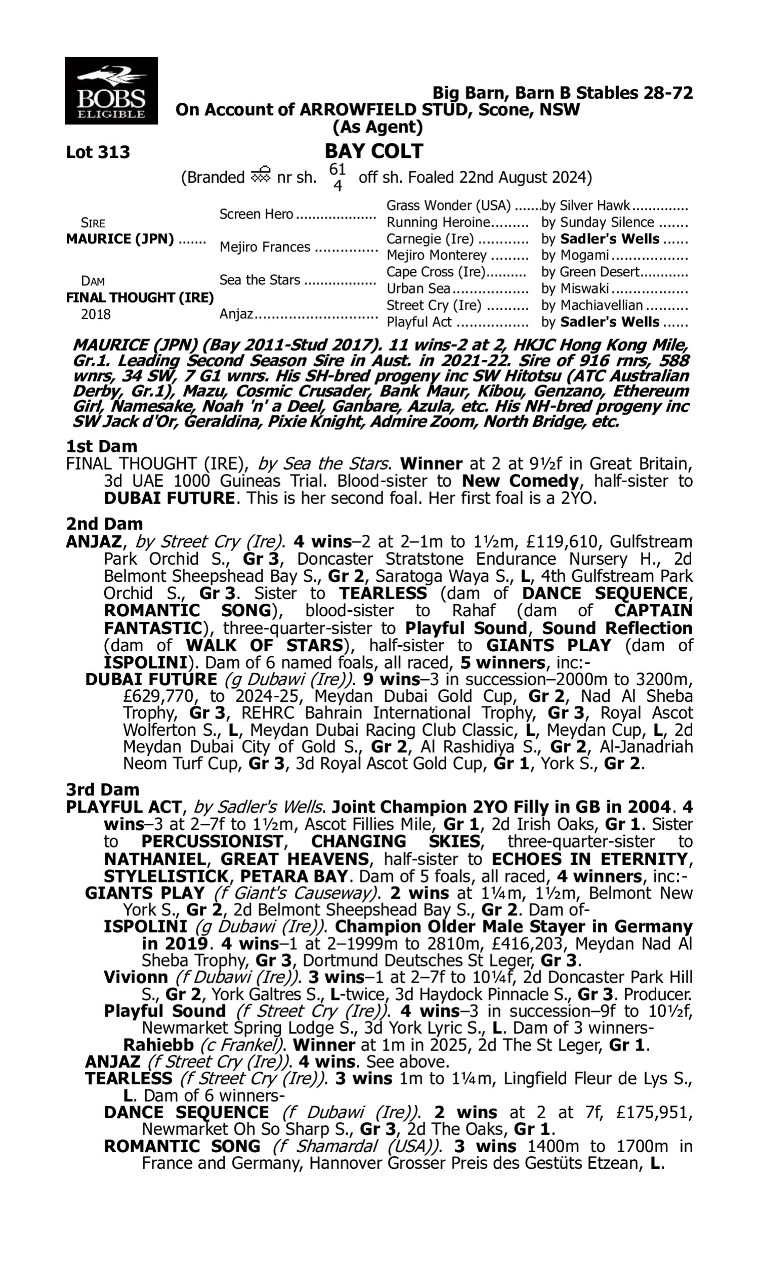 Pedigree for Lot 313 Maurice (JPN) - Final Thought (IRE)