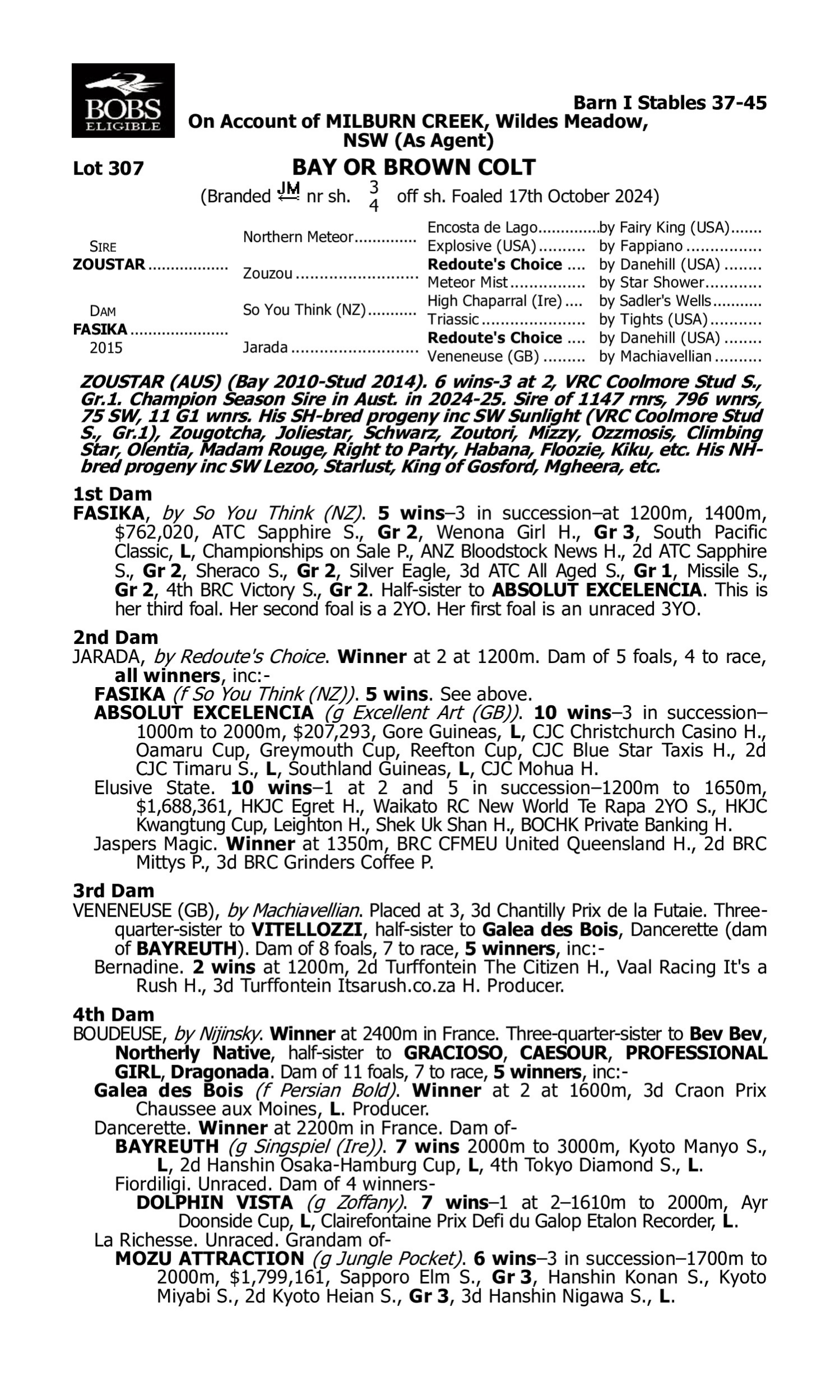 Pedigree for Lot 307 Zoustar - Fasika