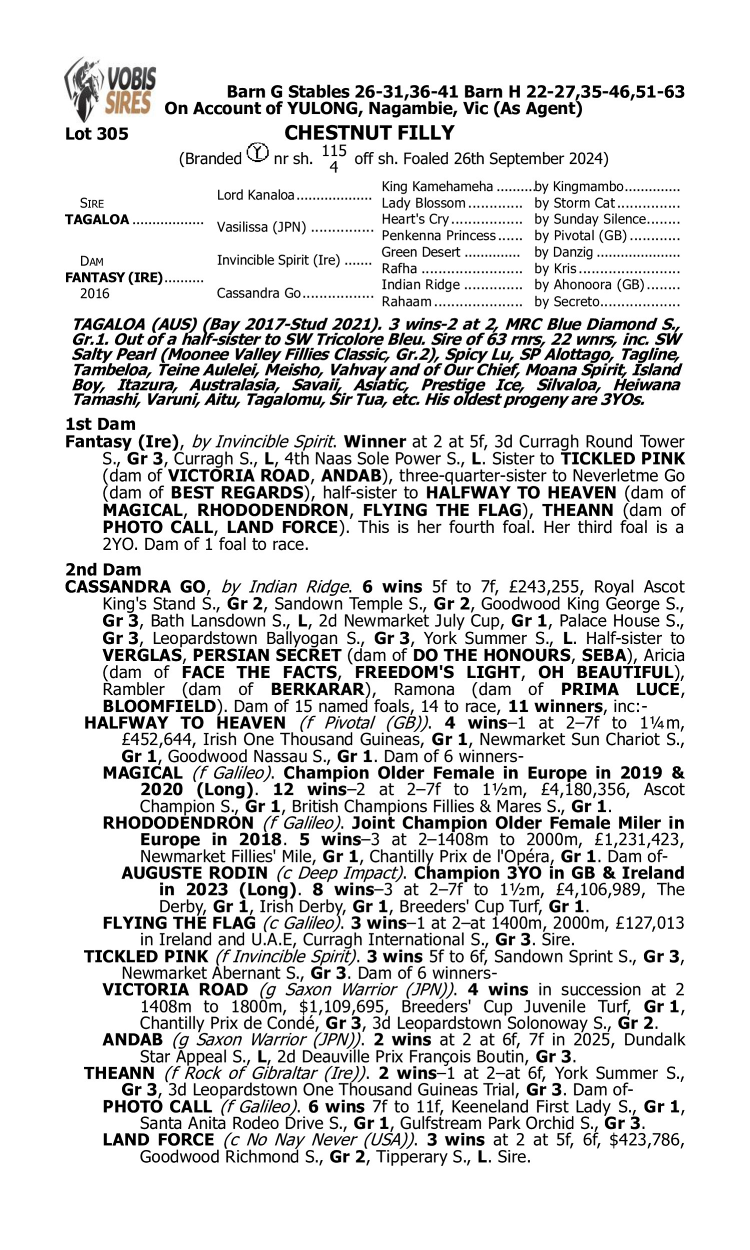 Pedigree for Lot 305 Tagaloa - Fantasy (IRE)