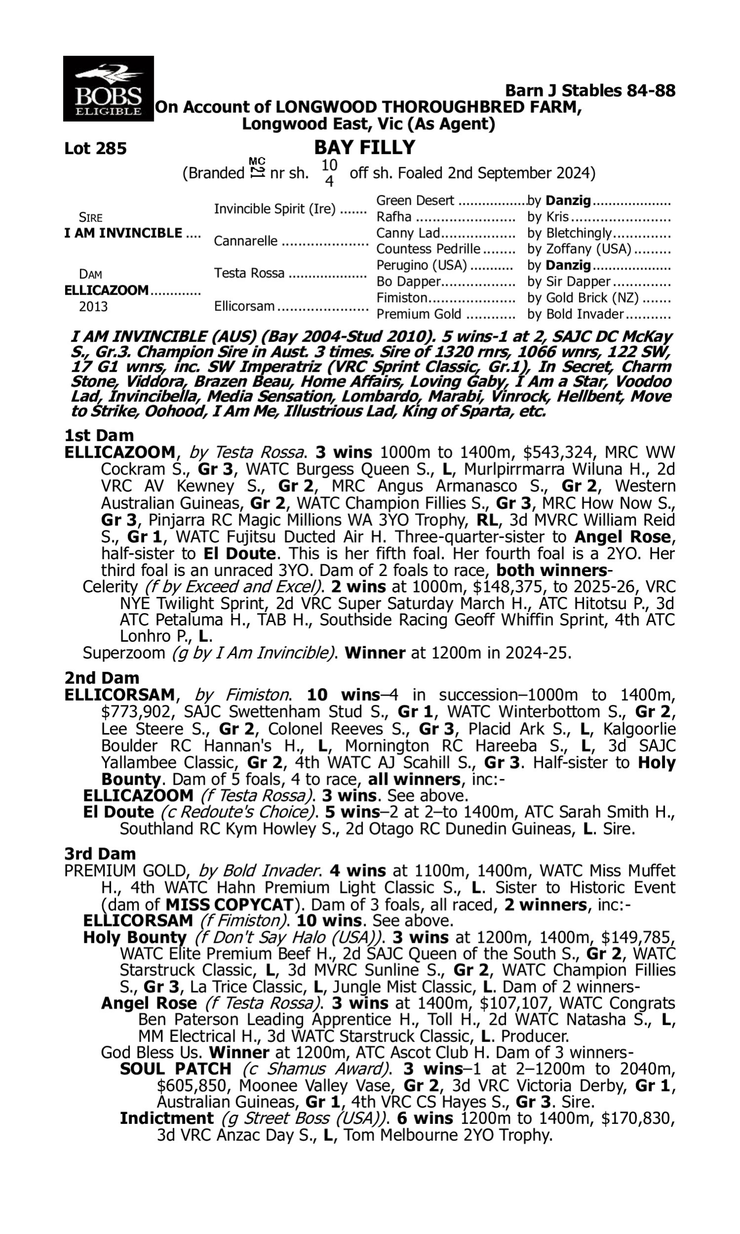 Pedigree for Lot 285 I Am Invincible - Ellicazoom