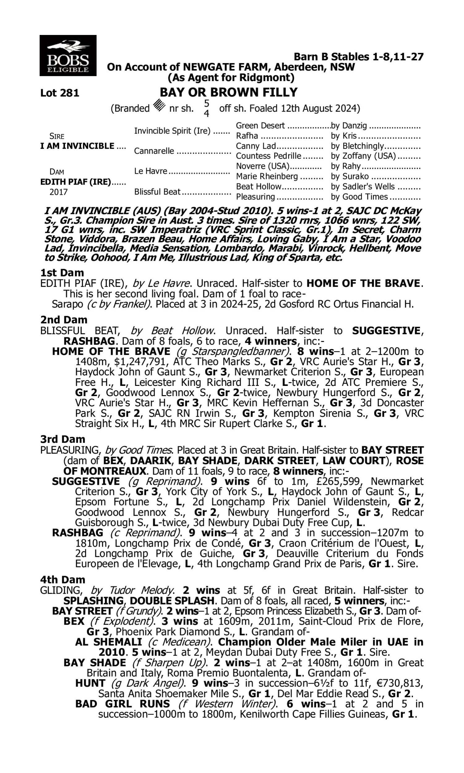 Pedigree for Lot 281 I Am Invincible - Edith Piaf (IRE)