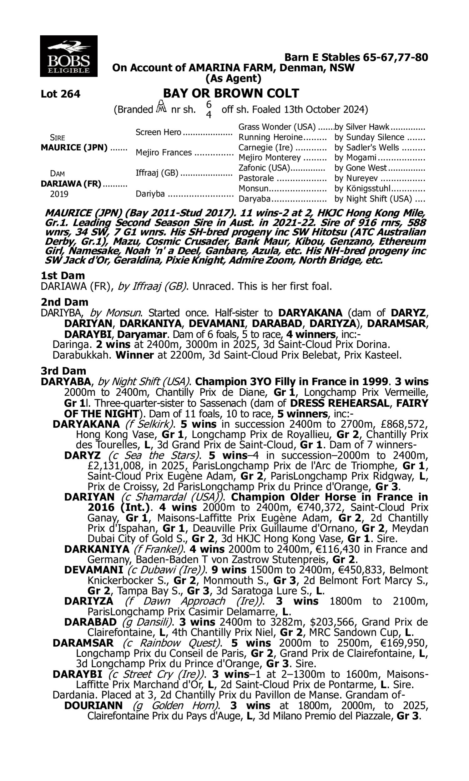Pedigree for Lot 264 Maurice (JPN) - Dariawa (FR)