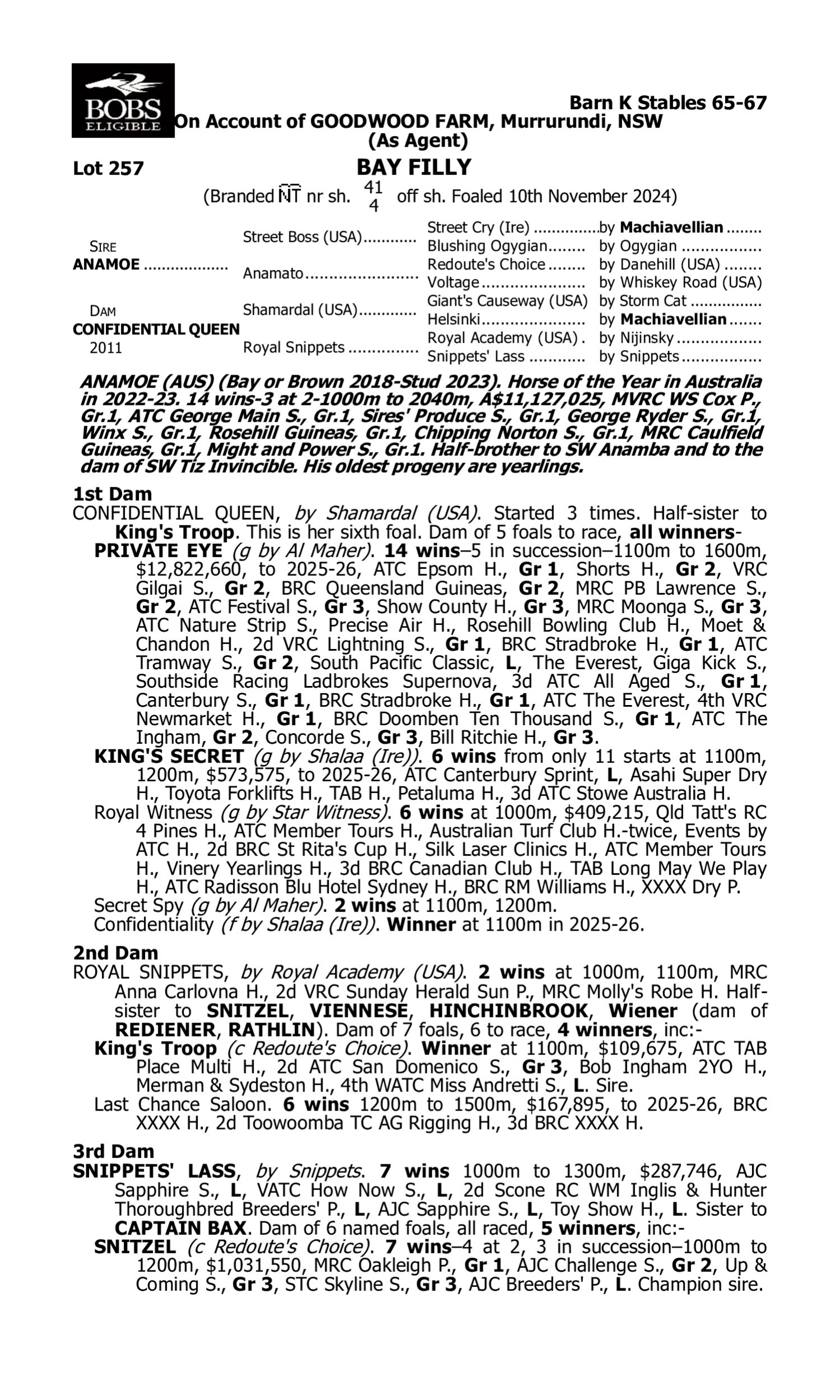 Pedigree for Lot 257 Anamoe - Confidential Queen
