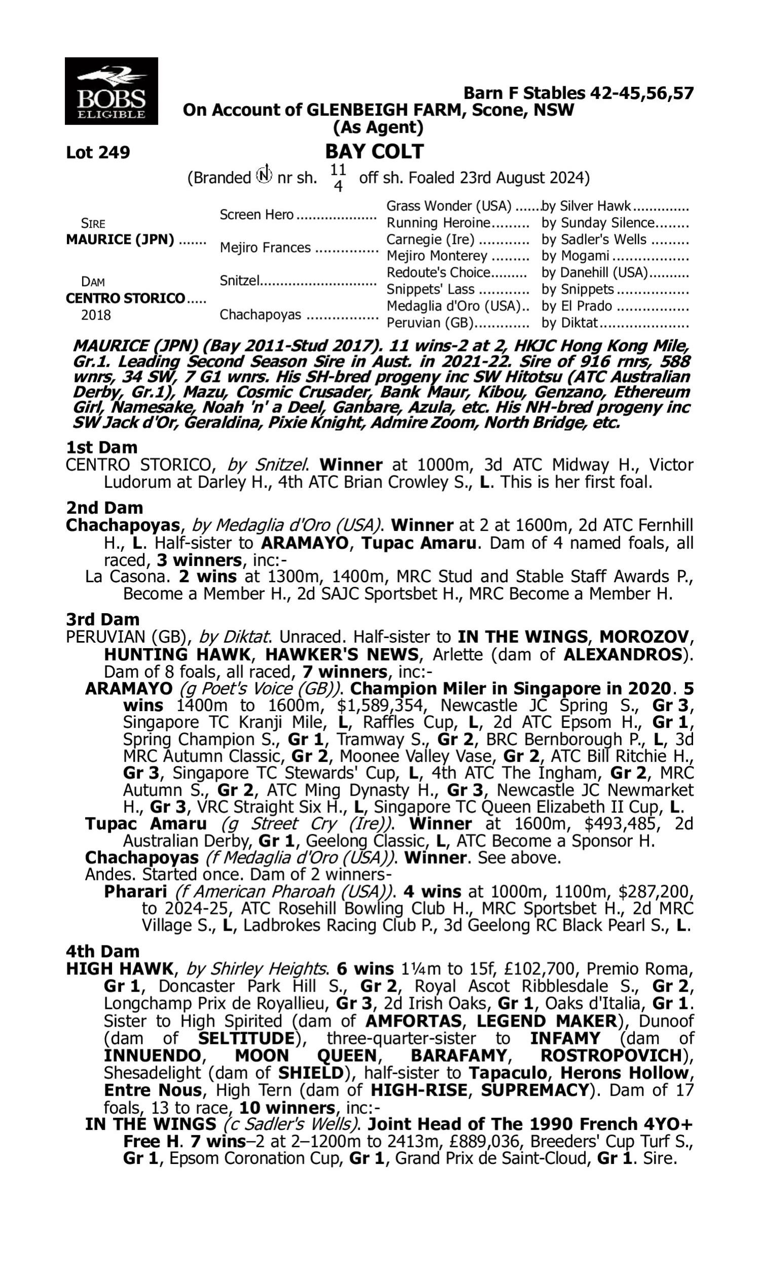 Pedigree for Lot 249 Maurice (JPN) - Centro Storico