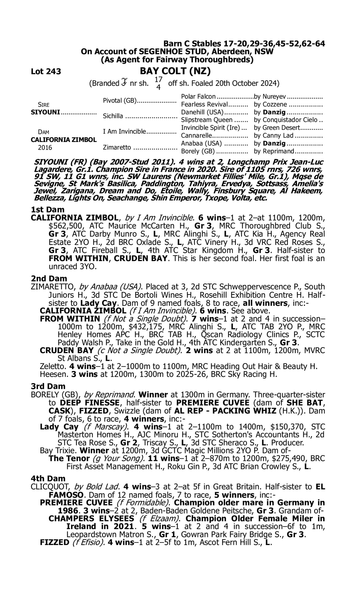 Pedigree for Lot 243 Siyouni (FR) - California Zimbol