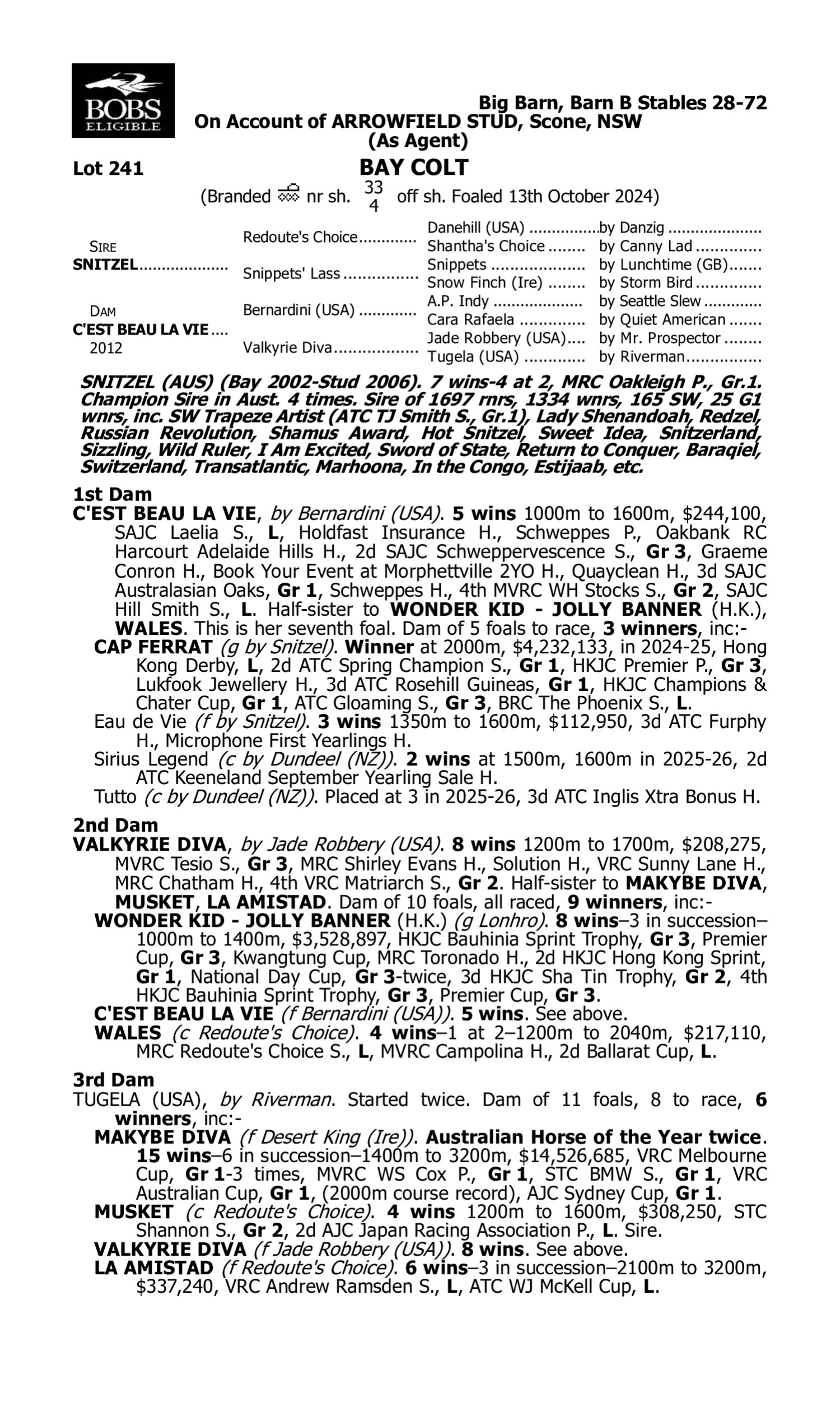 Pedigree for Lot 241 Snitzel - C'Est Beau la Vie