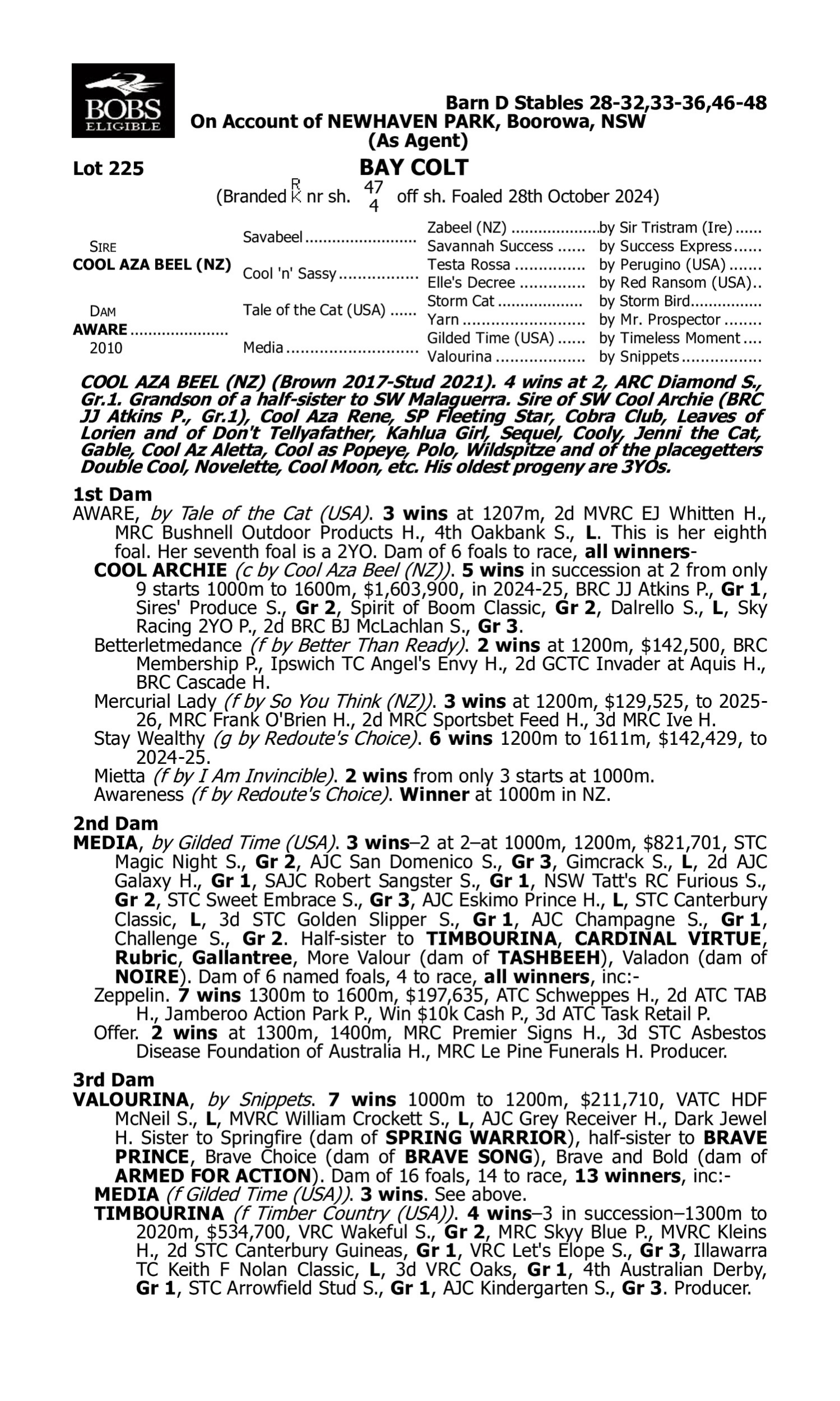 Pedigree for Lot 225 Cool Aza Beel (NZ) - Aware