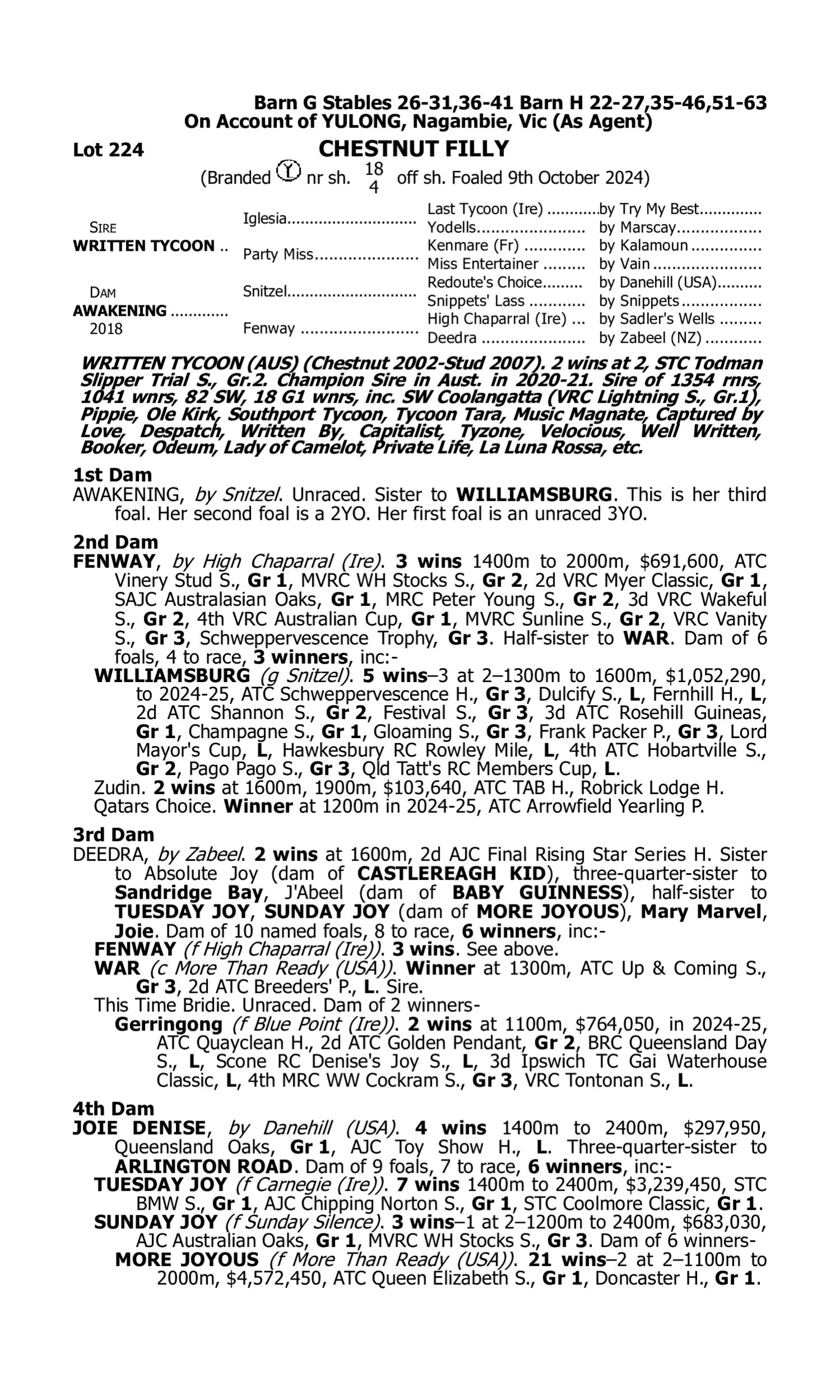Pedigree for Lot 224 Written Tycoon - Awakening